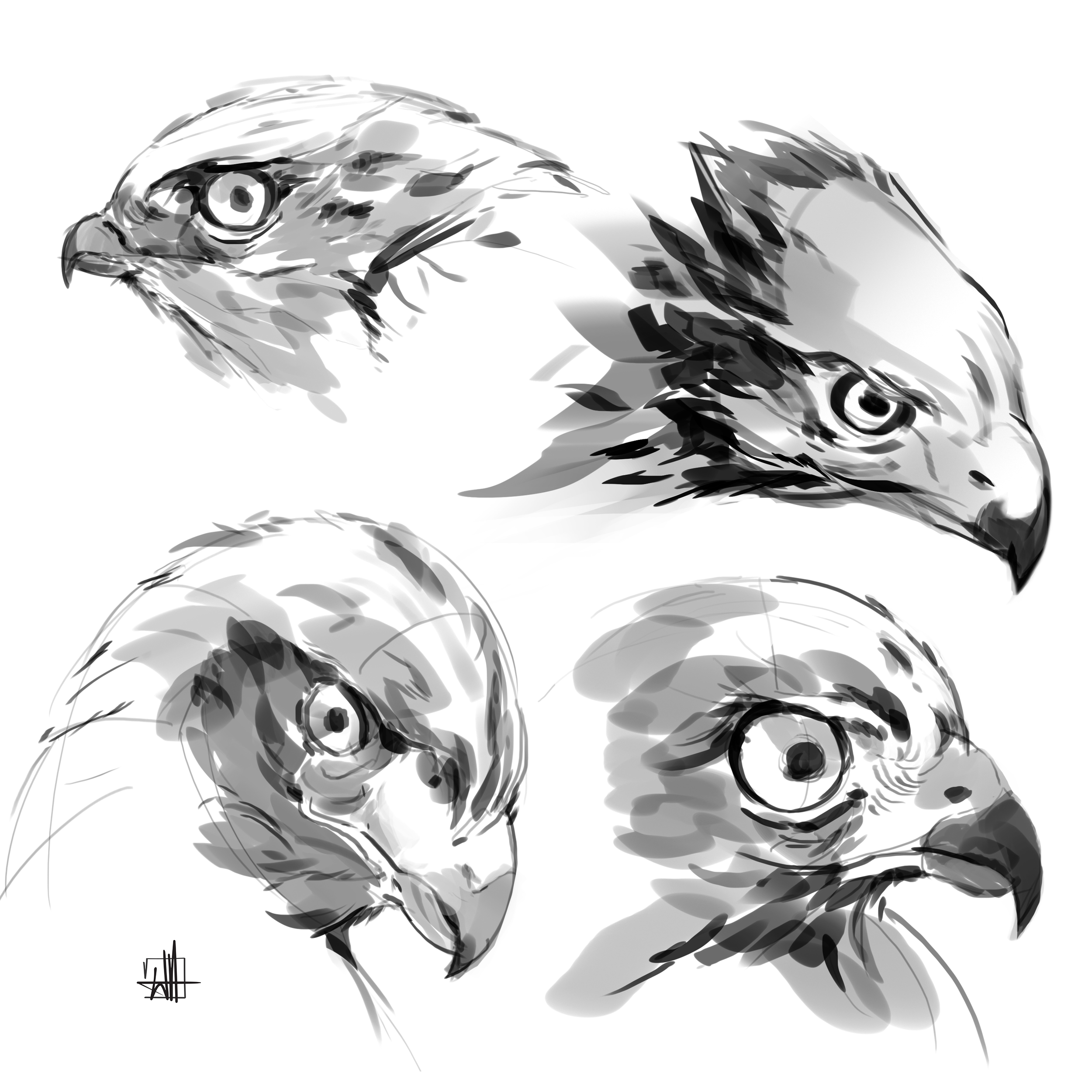 06.25.18_birdfaces_01.png