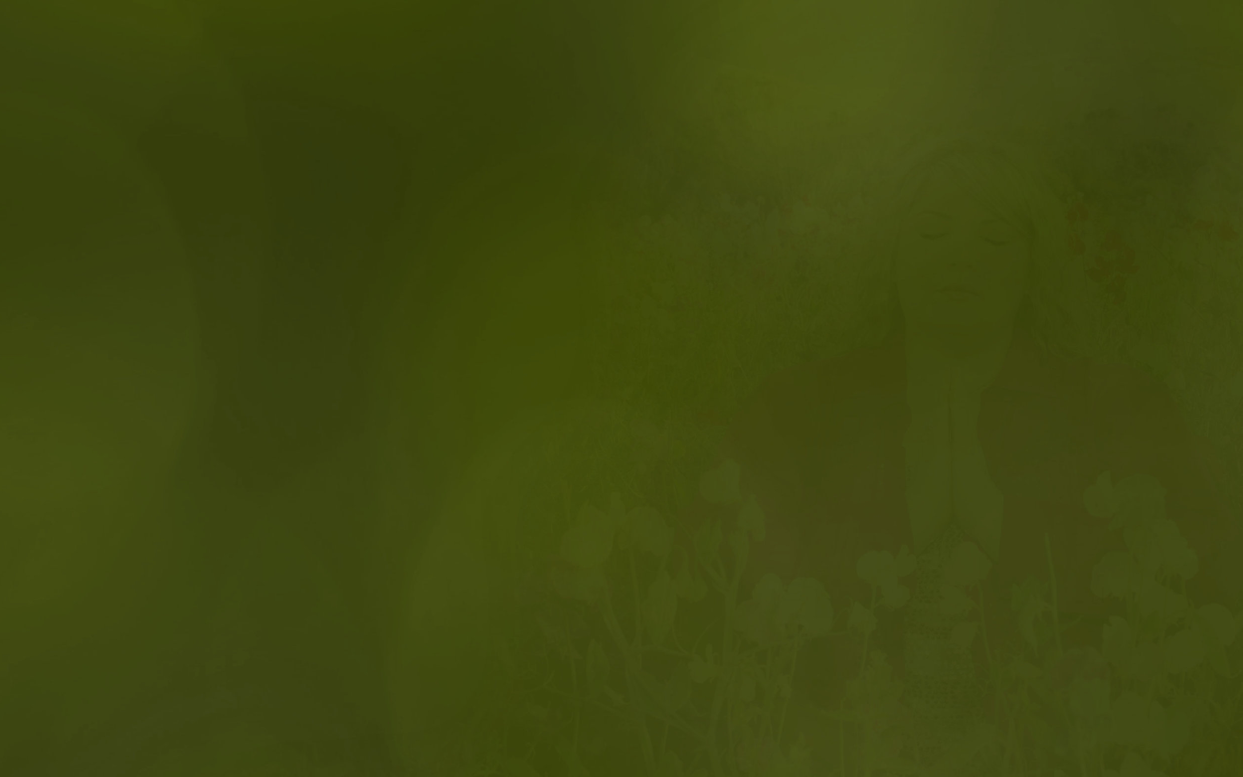 flowerfield3.jpg