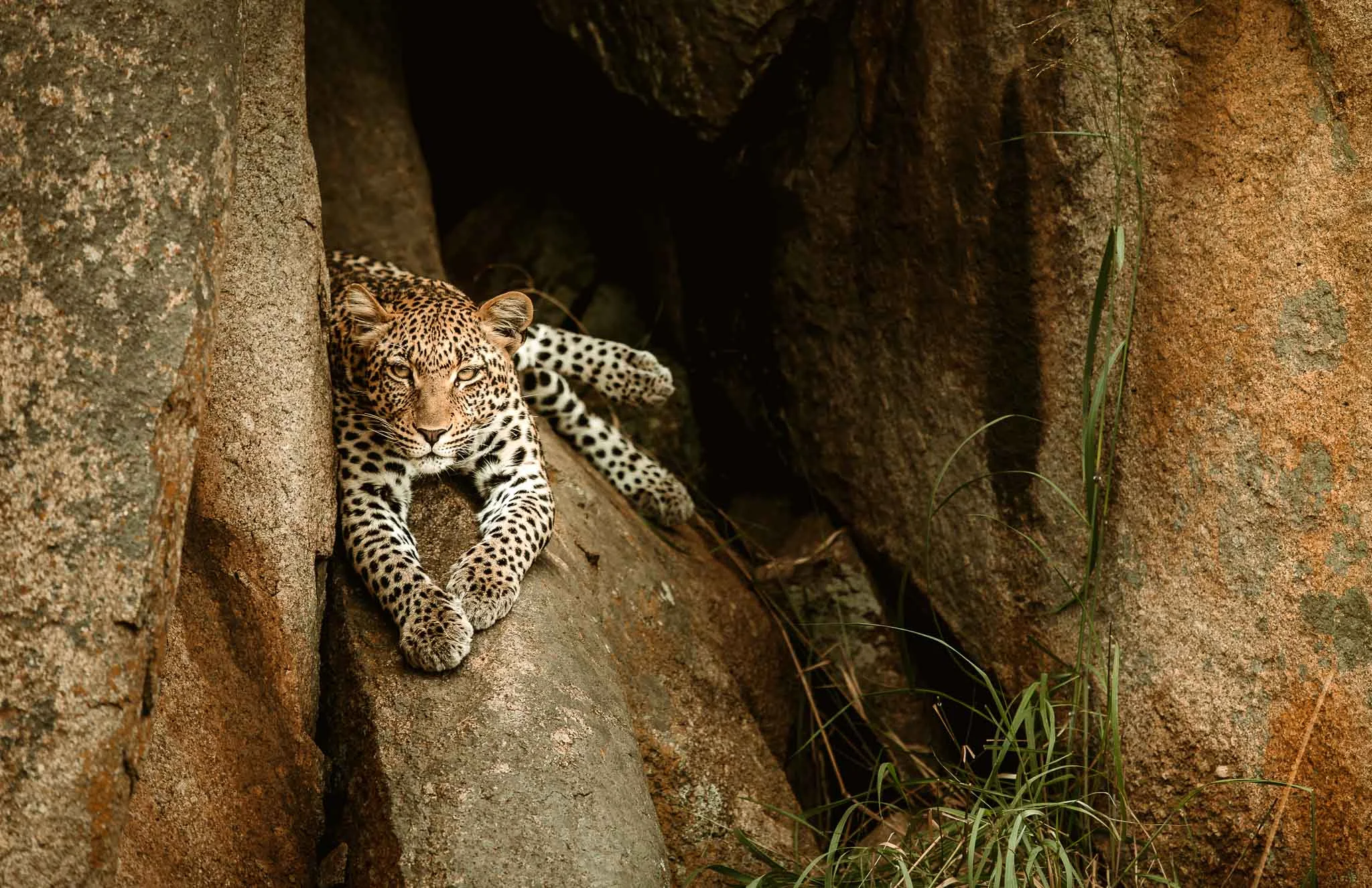 Tanzania-26.jpg