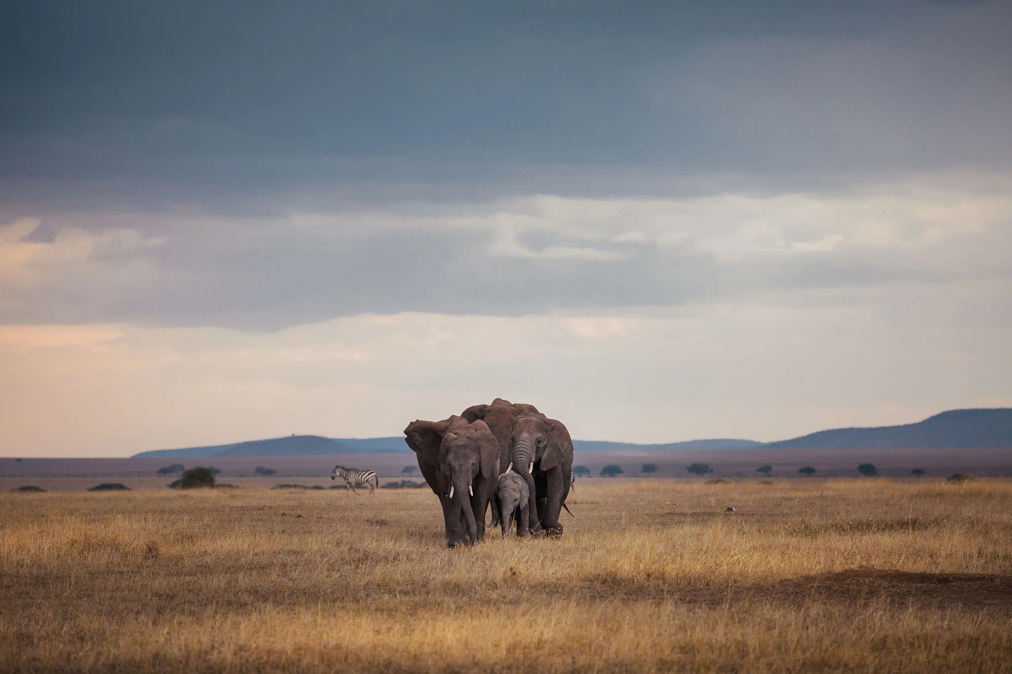 Tanzania-19.jpg