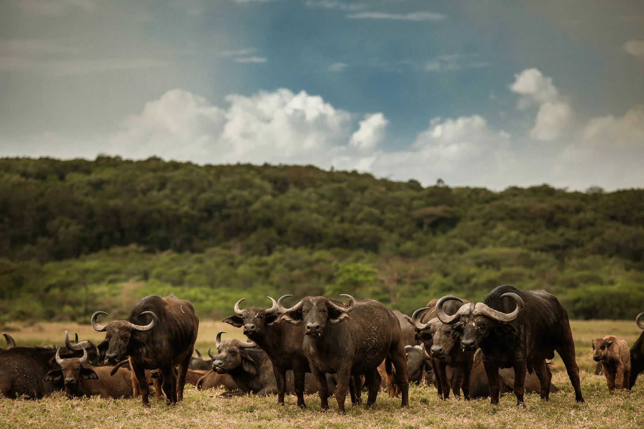 Tanzania-2.jpg