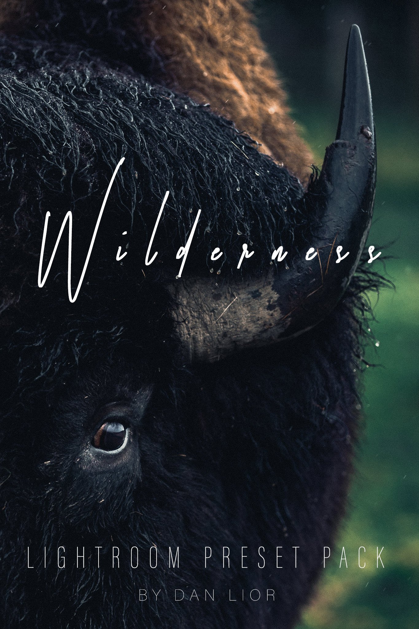 Wilderness Preset pack cover 5.jpg
