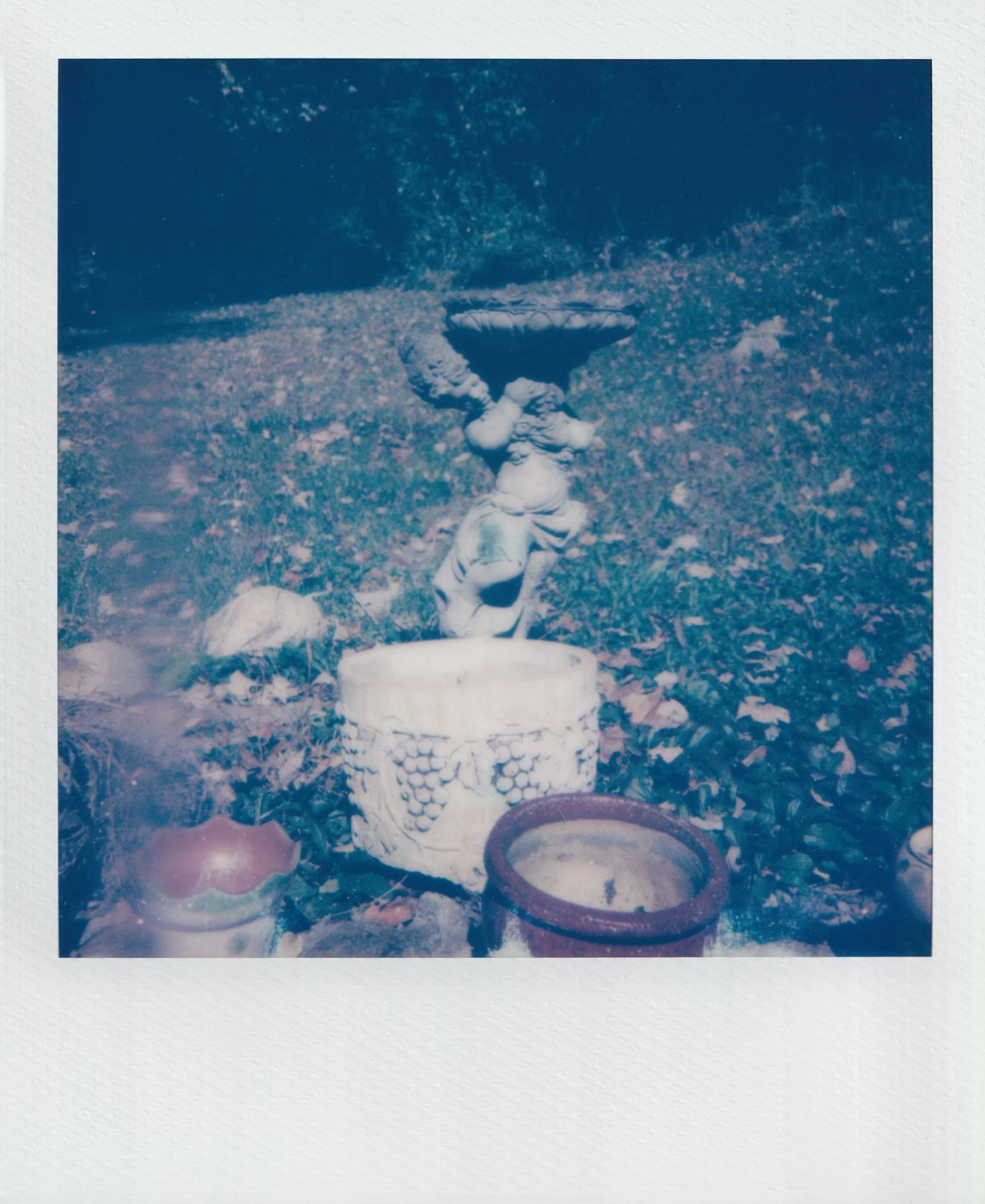  october 2025, expired 600 film  