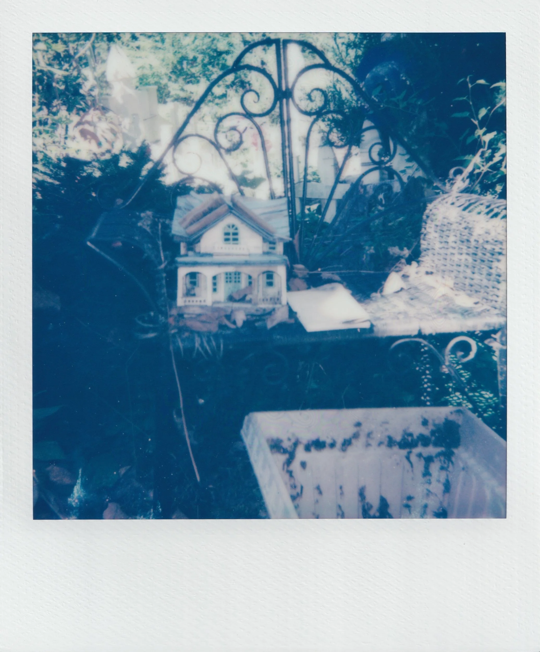  october 2025, expired 600 film 