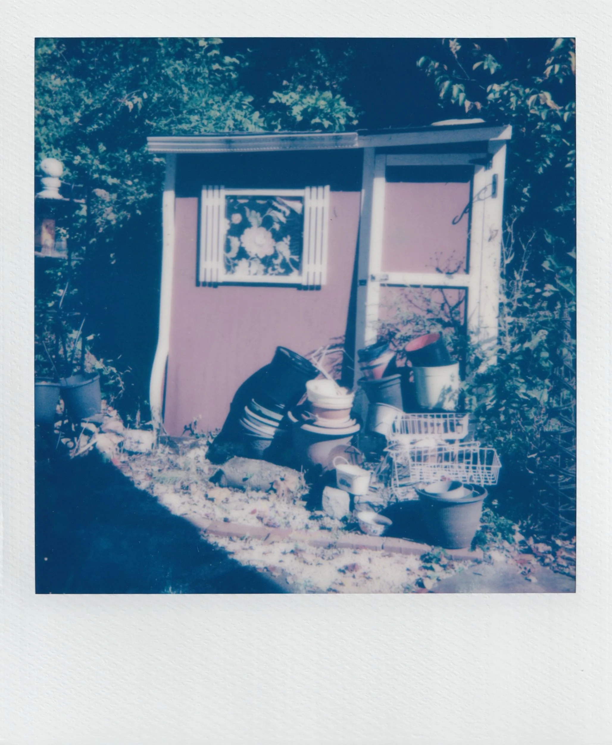  october 2025, expired 600 film 
