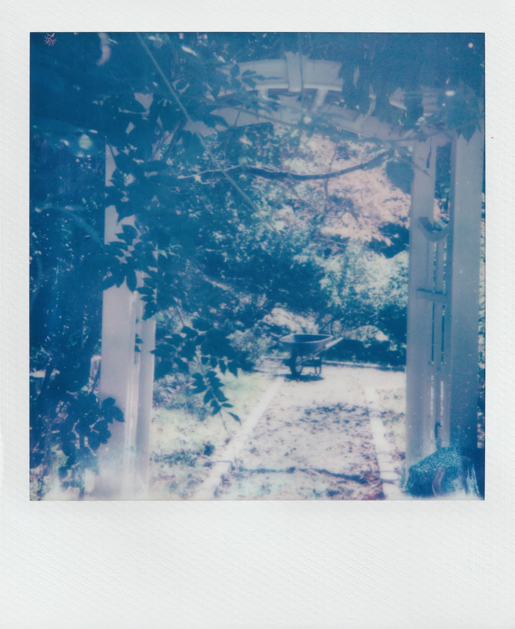  october 2025, expired 600 film 