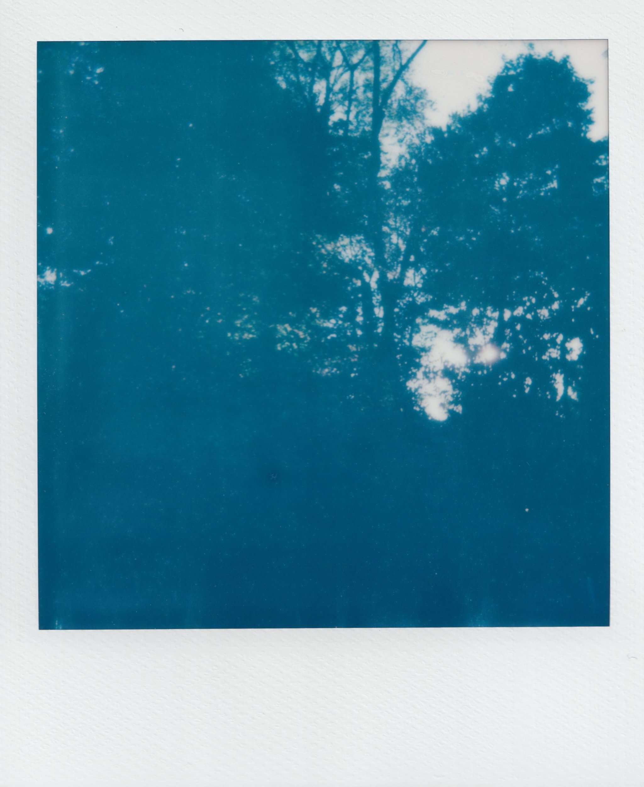  october 2025, expired 600 film 