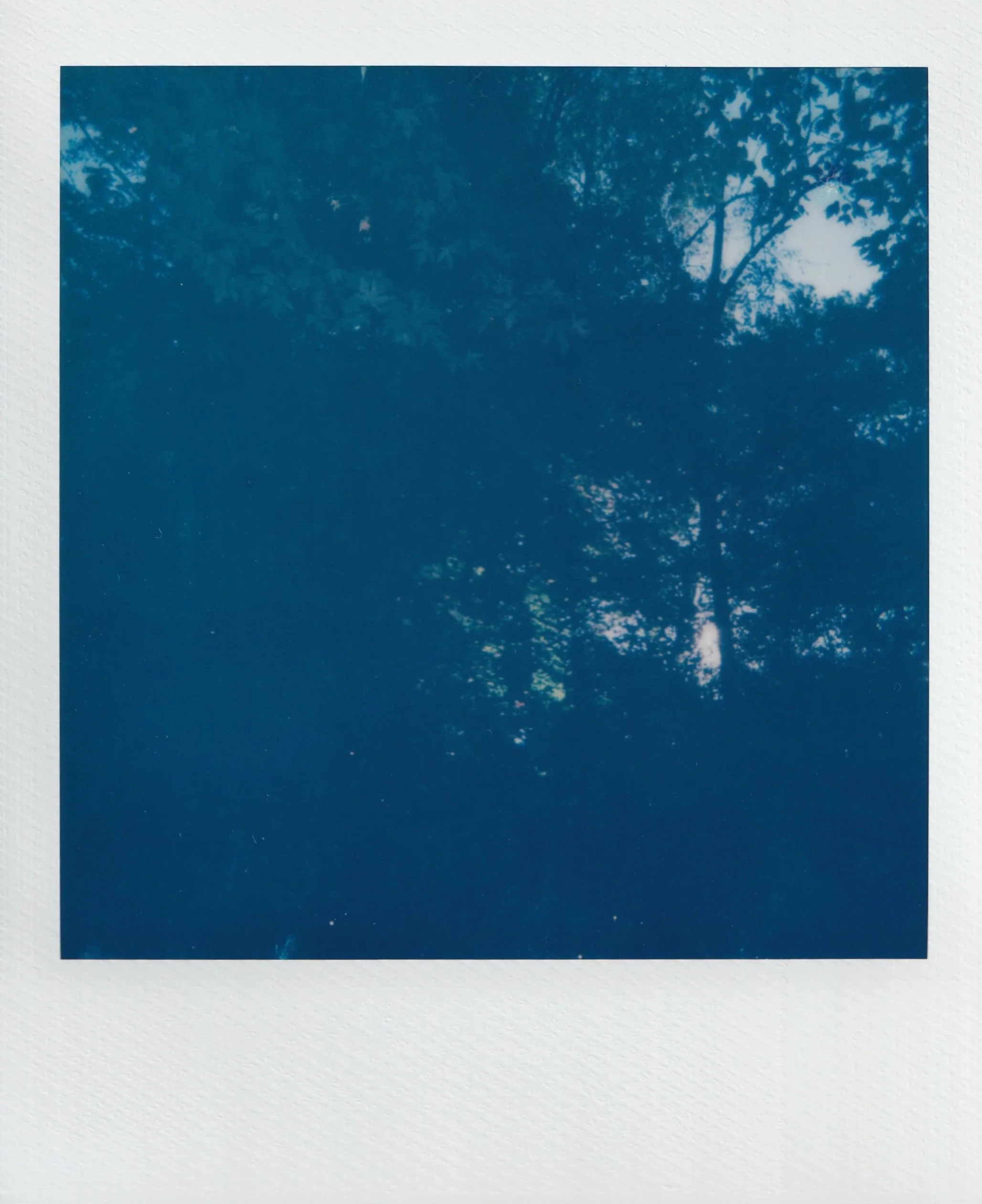  october 2025, expired 600 film 