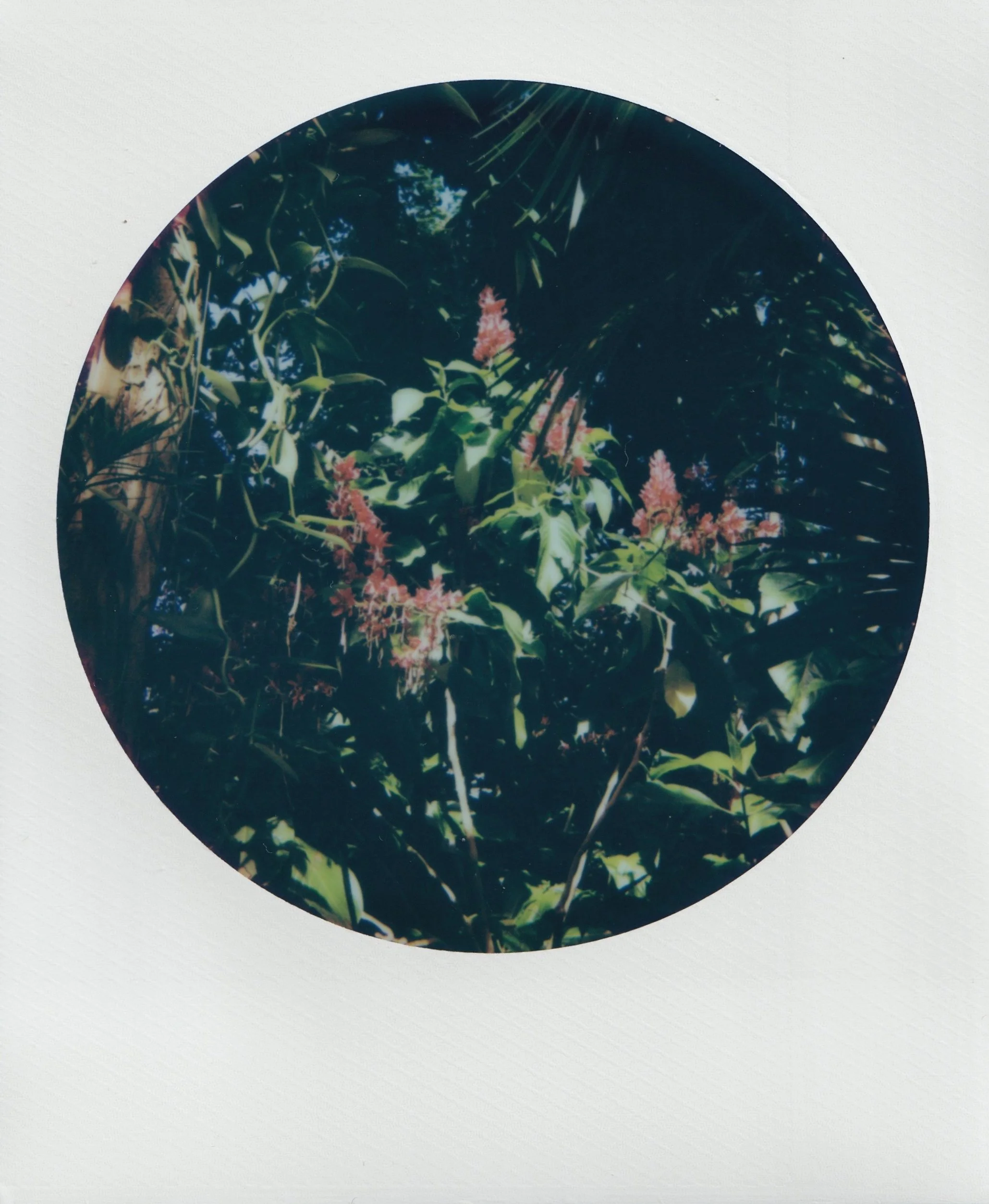  september 2025, 600 film 