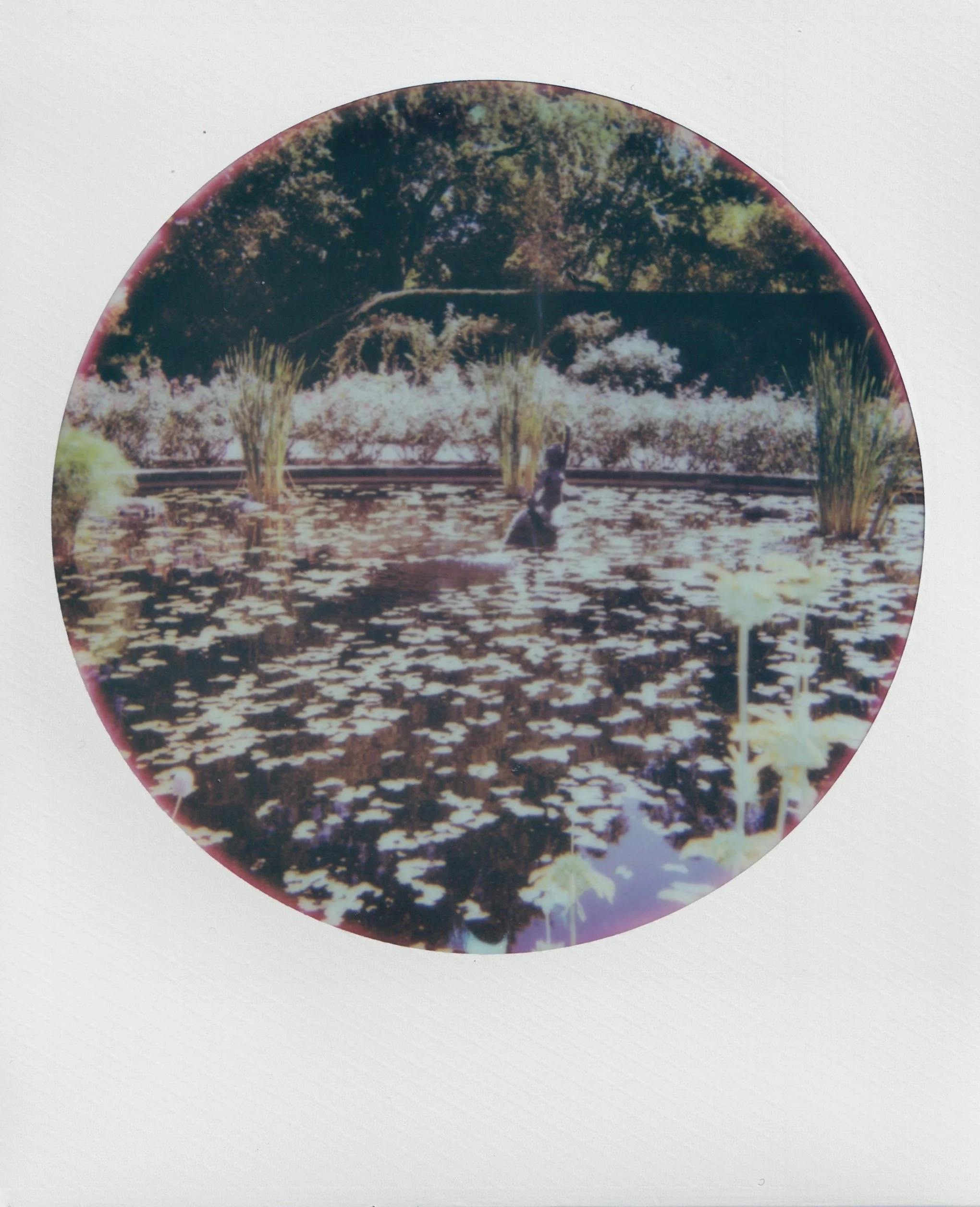  september 2025, 600 film 