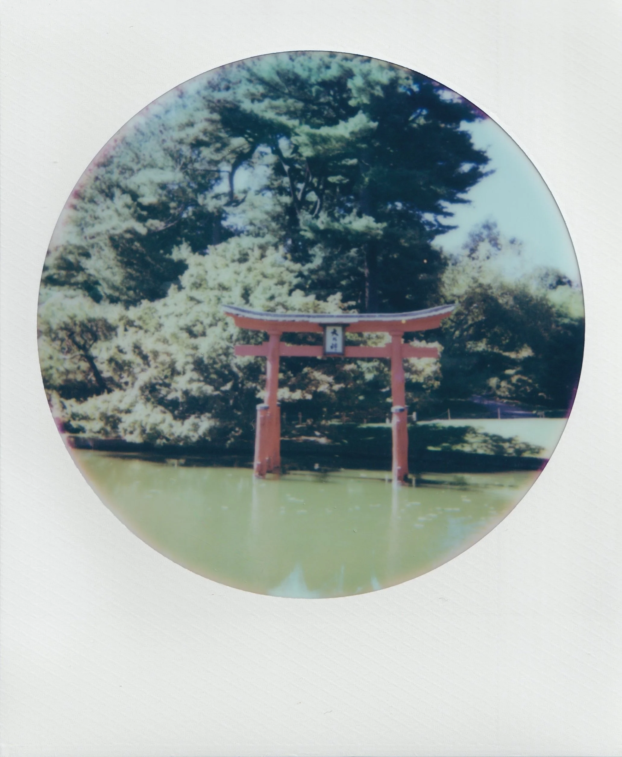  september 2025, 600 film 