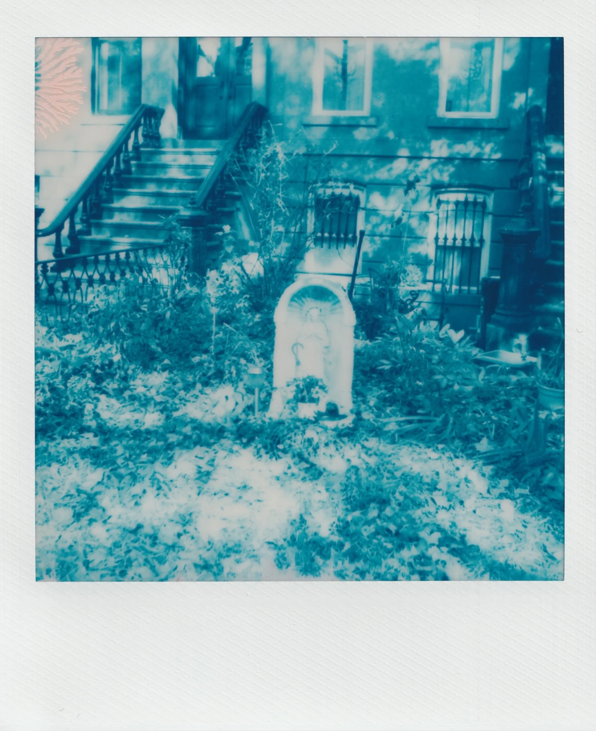  november 2025, expired blue 600 film 