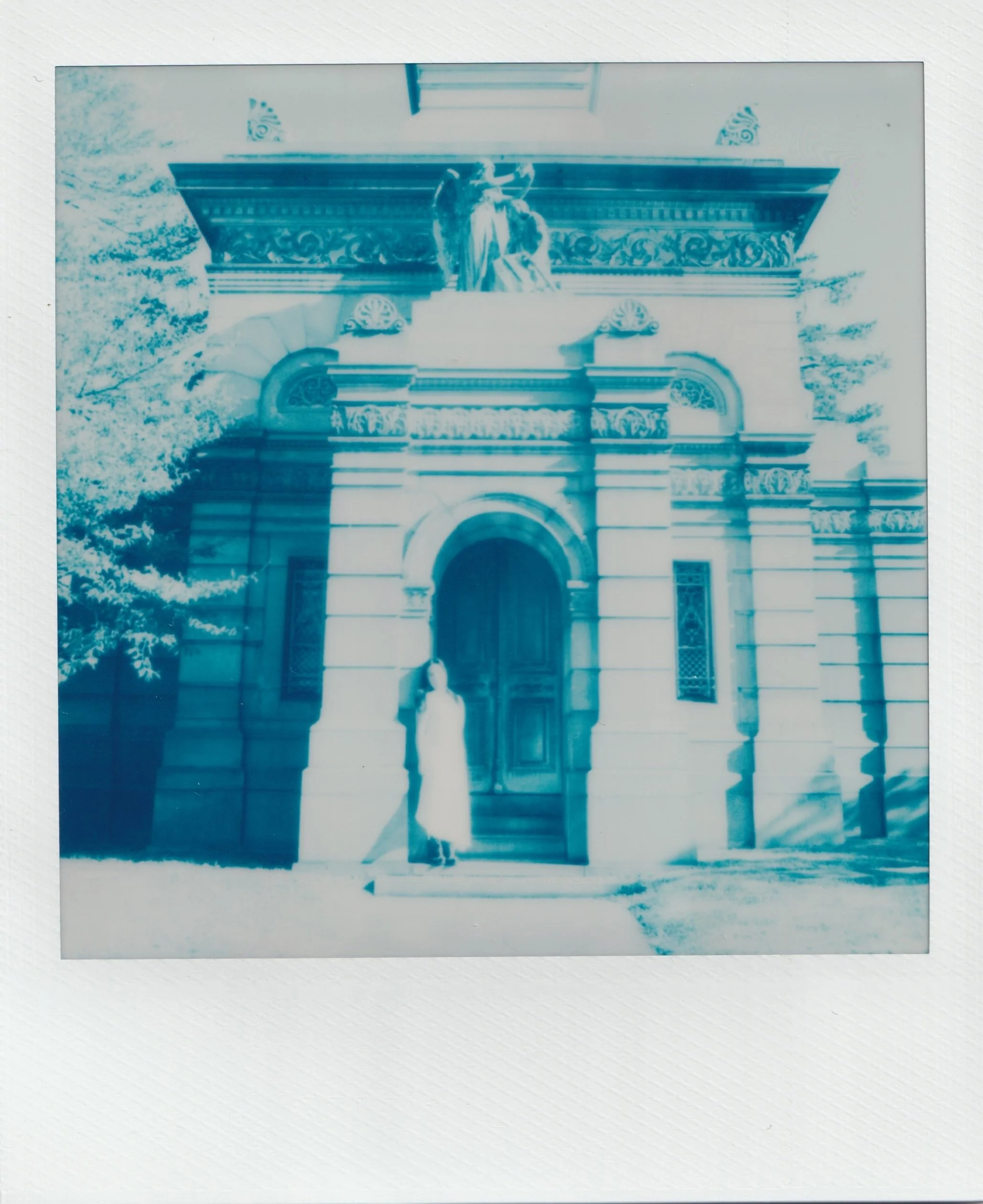  november 2025, expired blue 600 film  taken by kat &amp; lily 