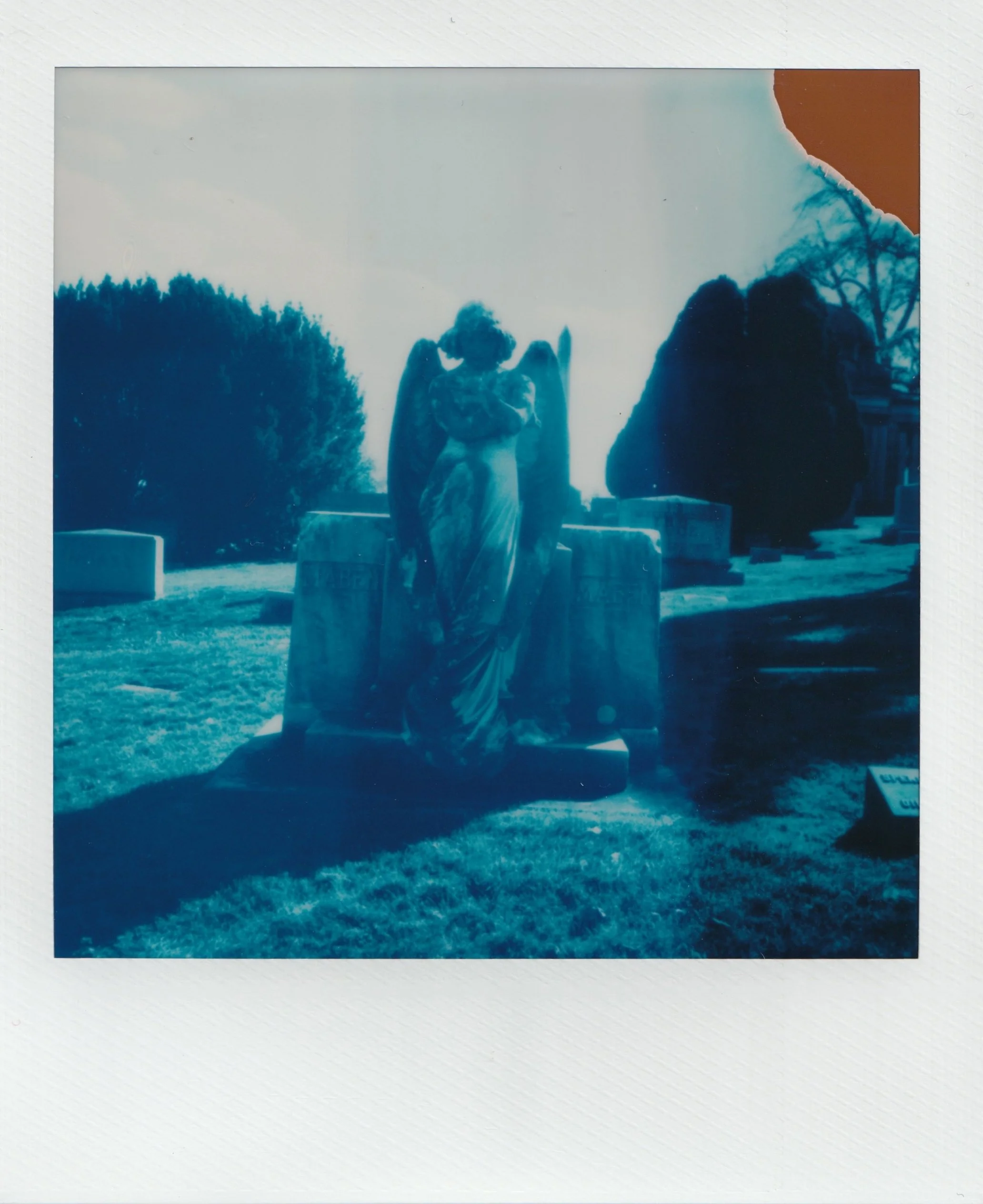  november 2025, expired blue 600 film 