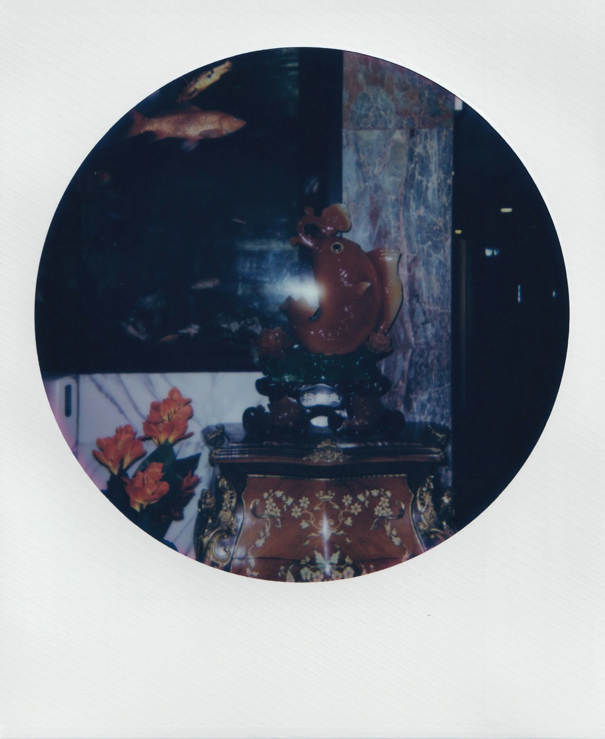  october 2025, 600 film 