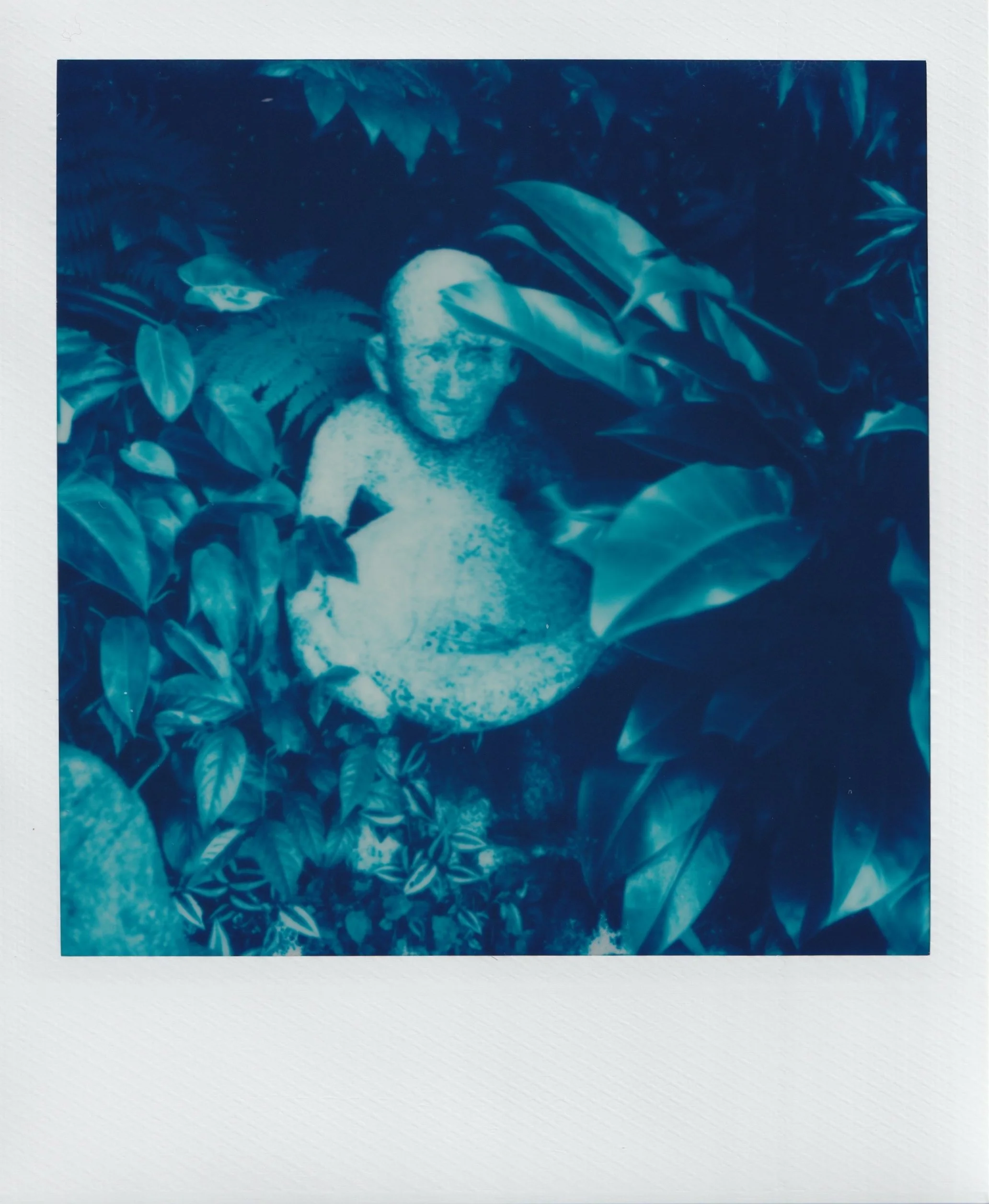  january 2025, expired blue 600 film  baguio city, philippines  