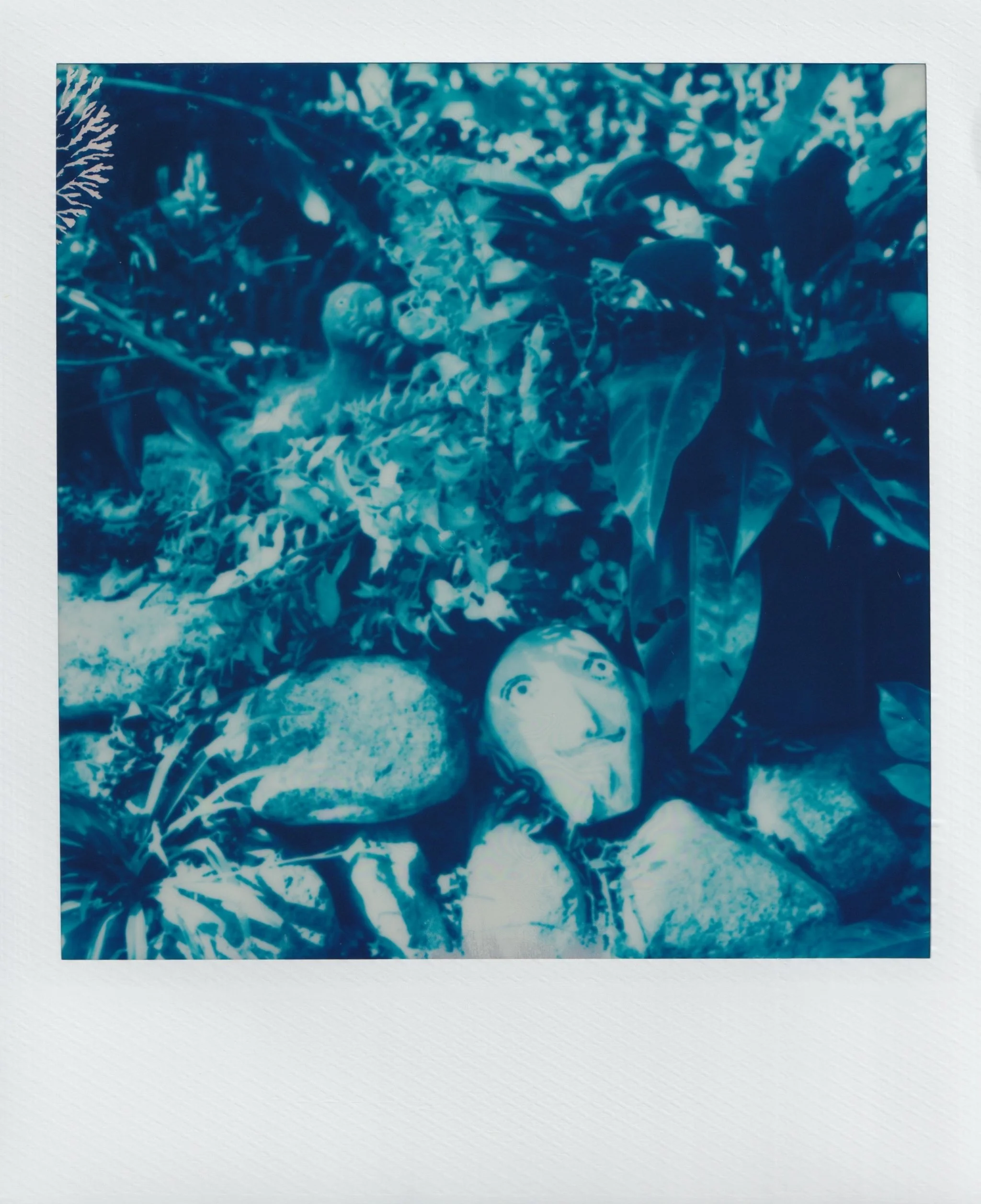  january 2025, expired blue 600 film  baguio city, philippines  