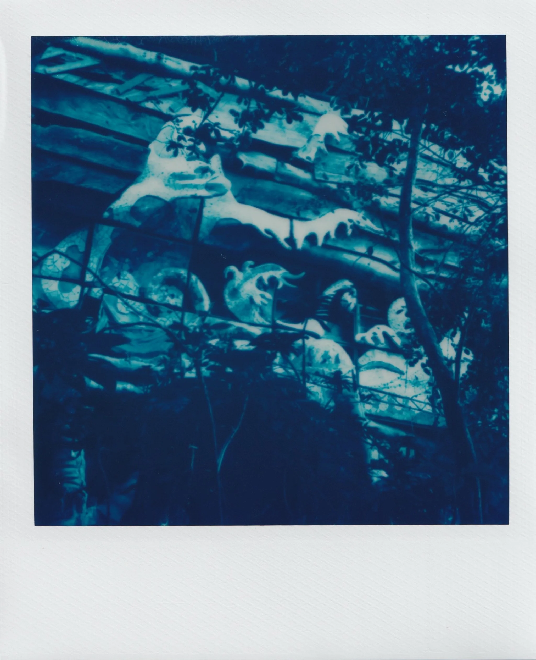  january 2025, expired blue 600 film  baguio city, philippines  