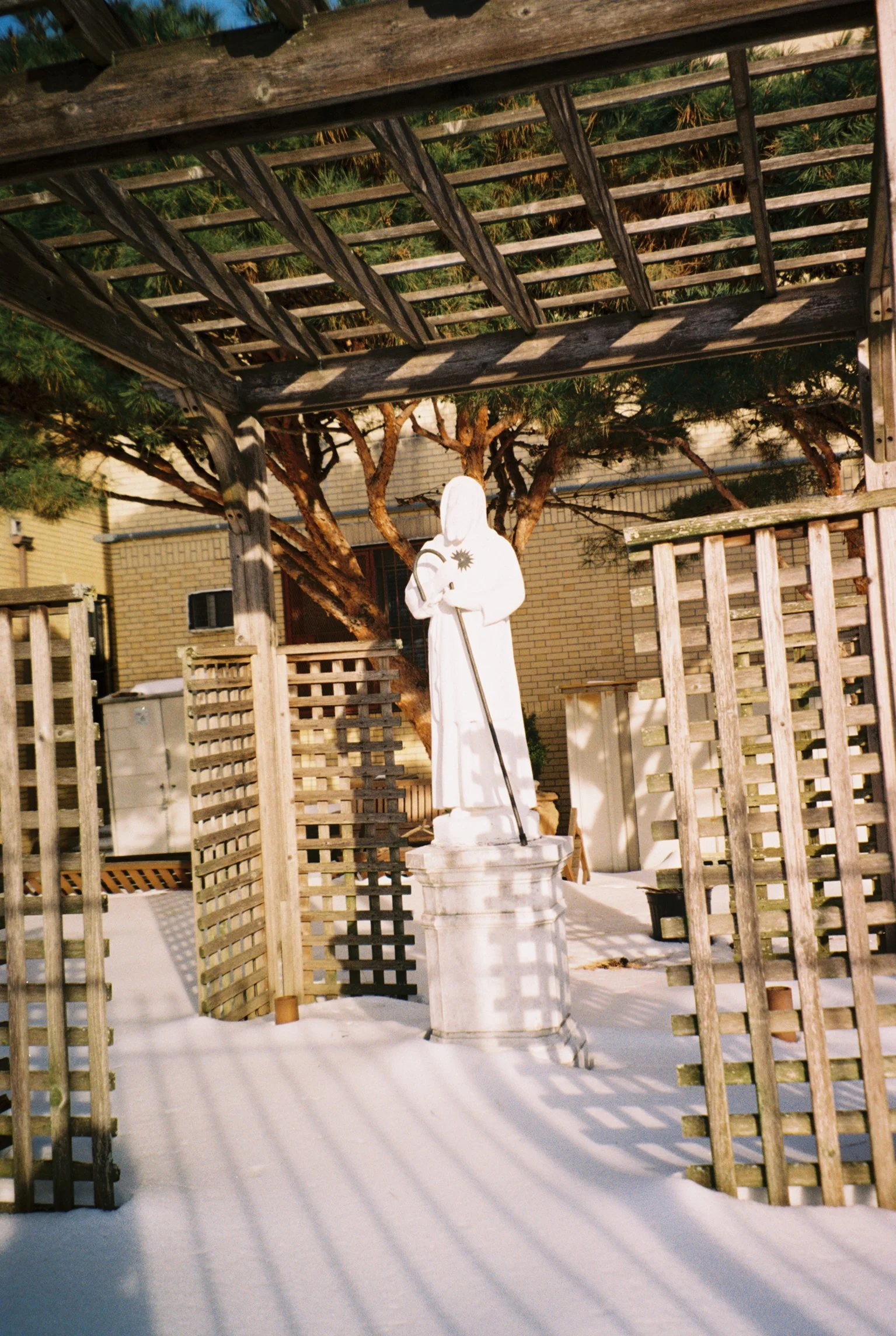  minolta sightseer zoom   february 2026 