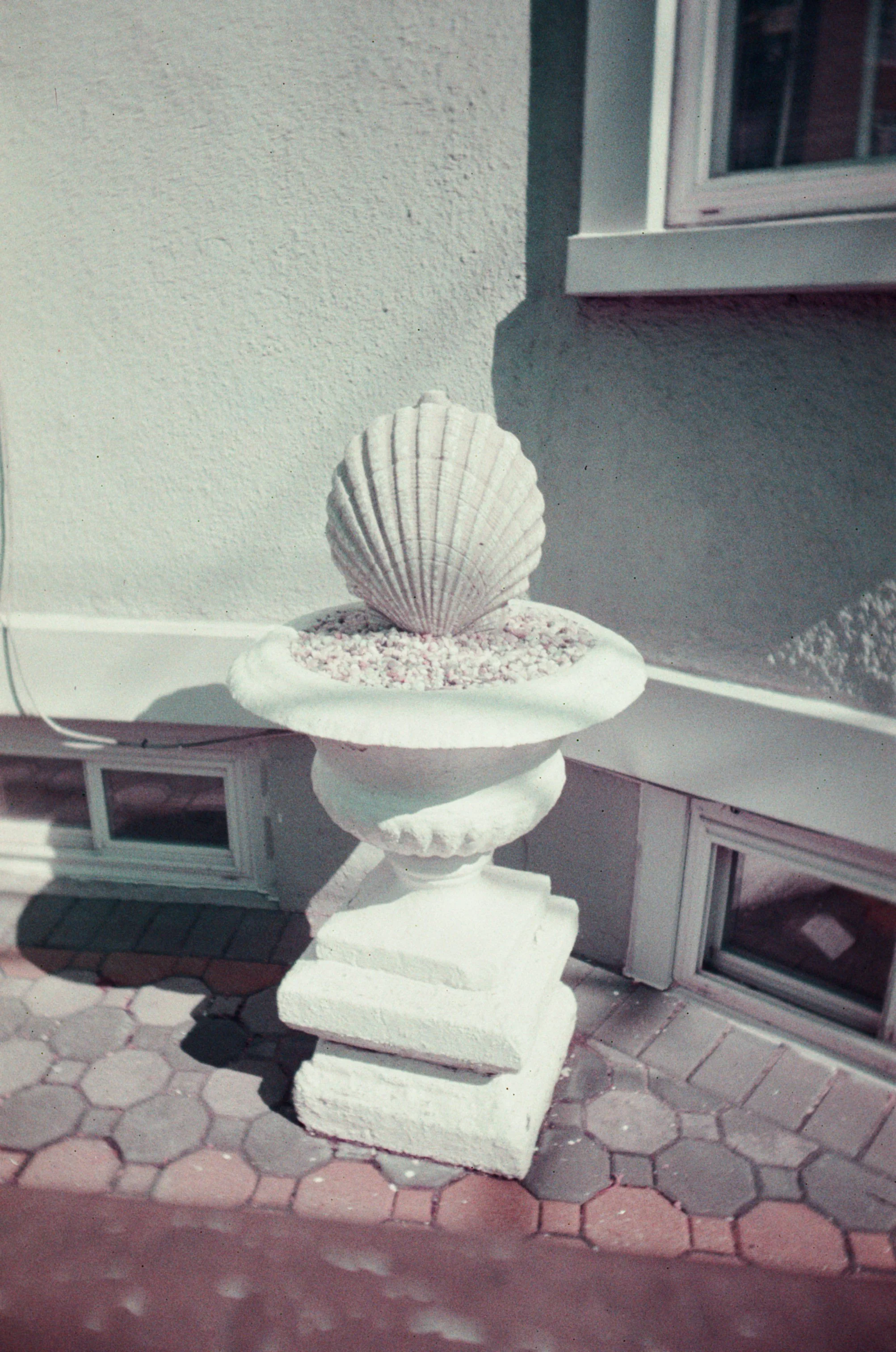  vivitar cv35 + lomochrome purple film   february 2026 