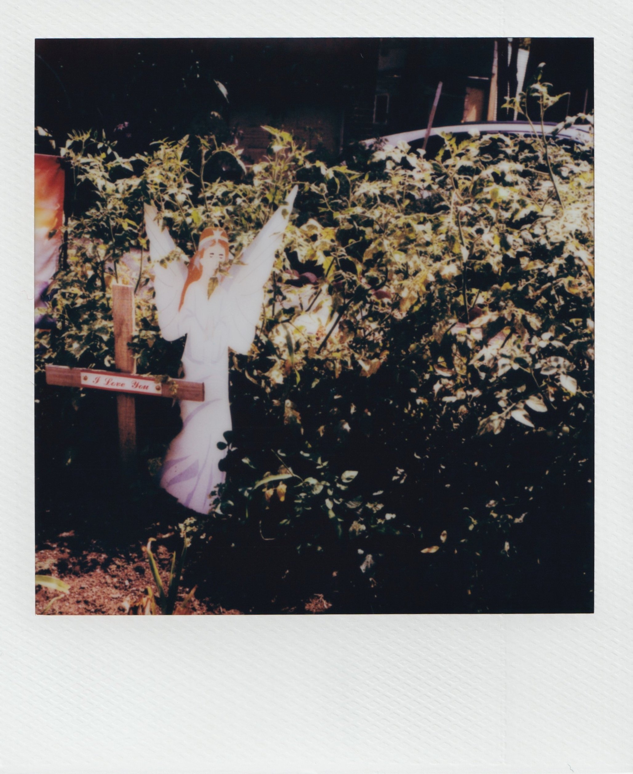  i love you, august 2026   Polaroid i-type film  