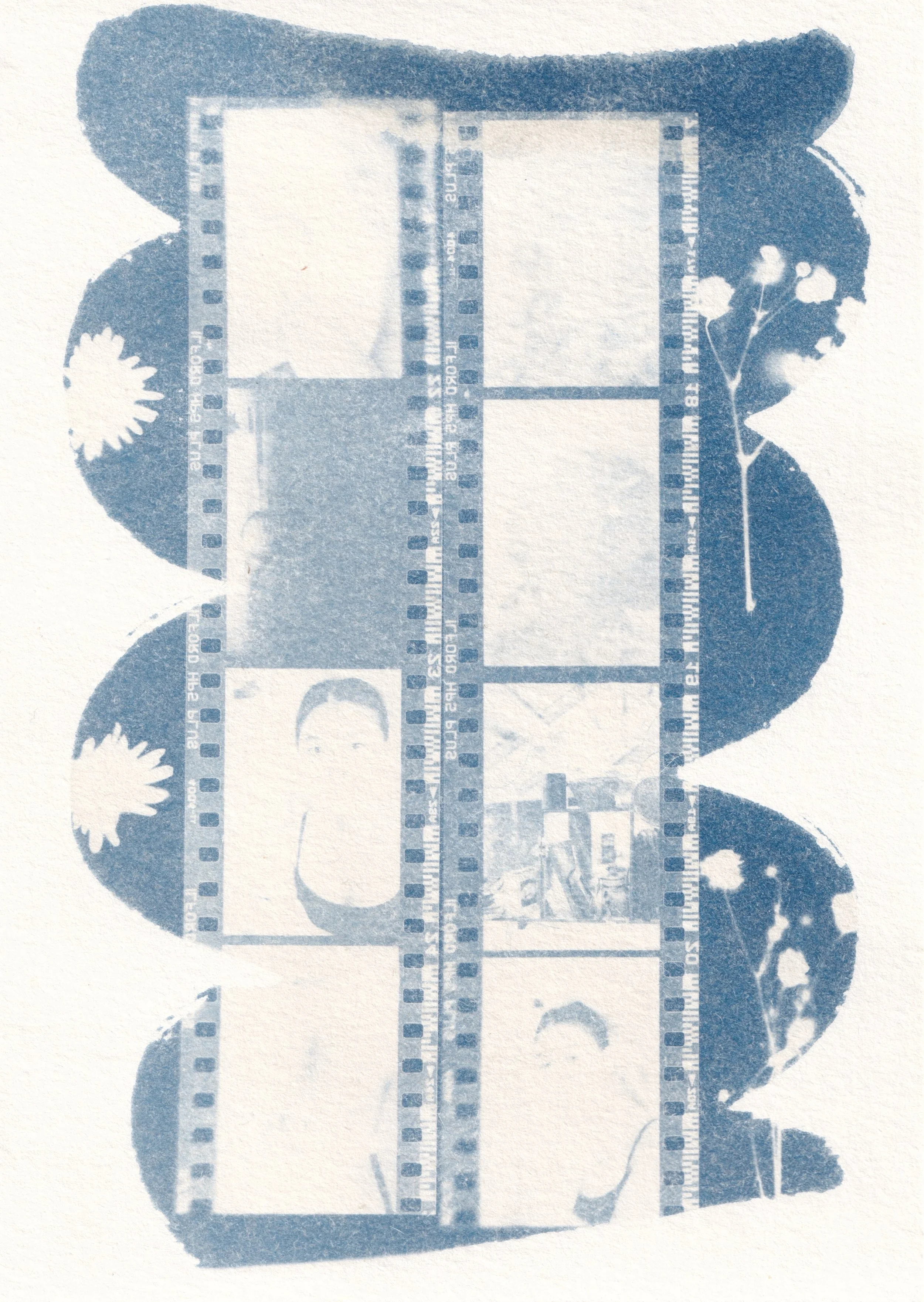  cyanotype print made with 35mm film negatives from 2019  created during a workshop by Niko Bronto in august 2026  