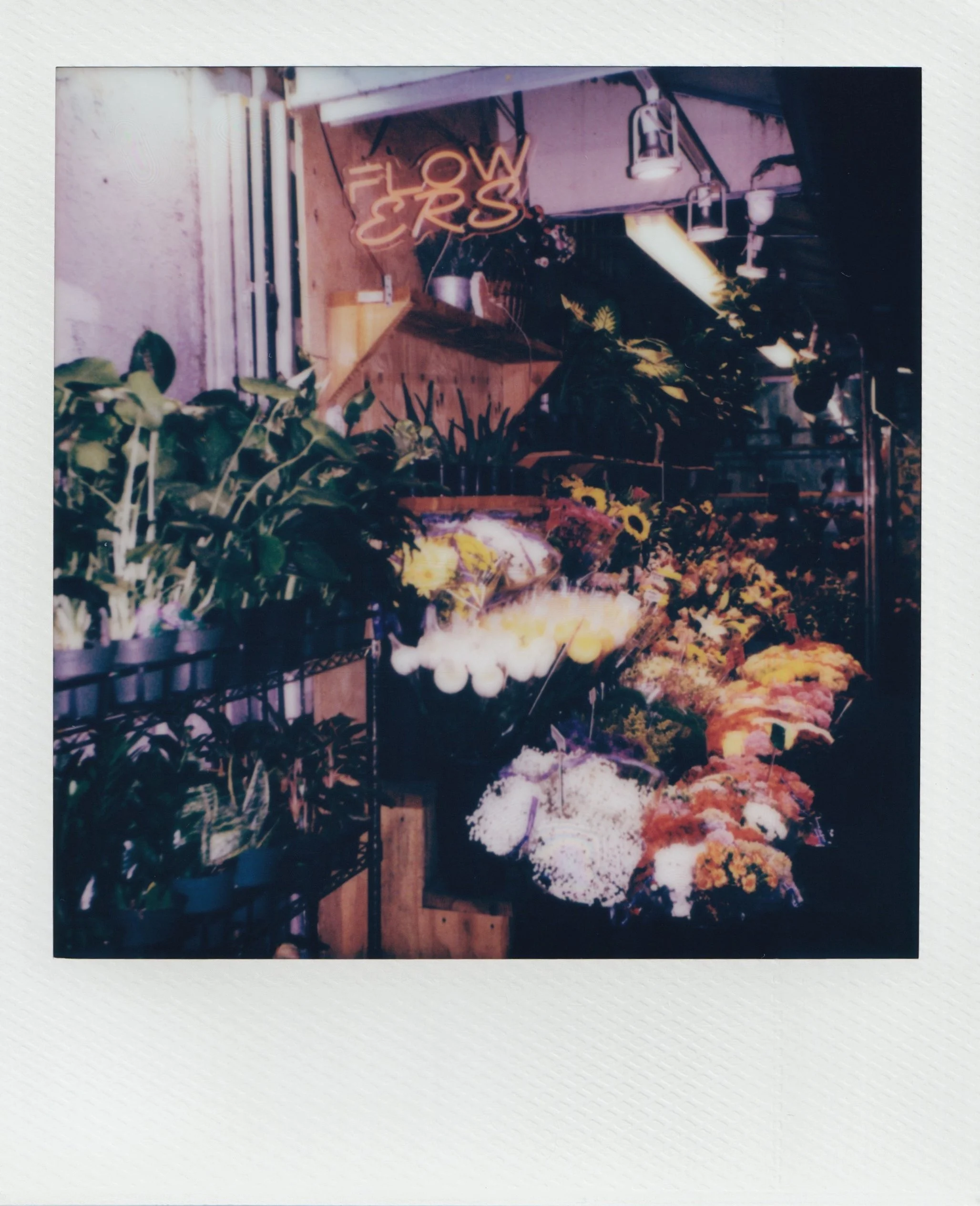  flower shop under the 7 train, august 2026  Polaroid i-type film  