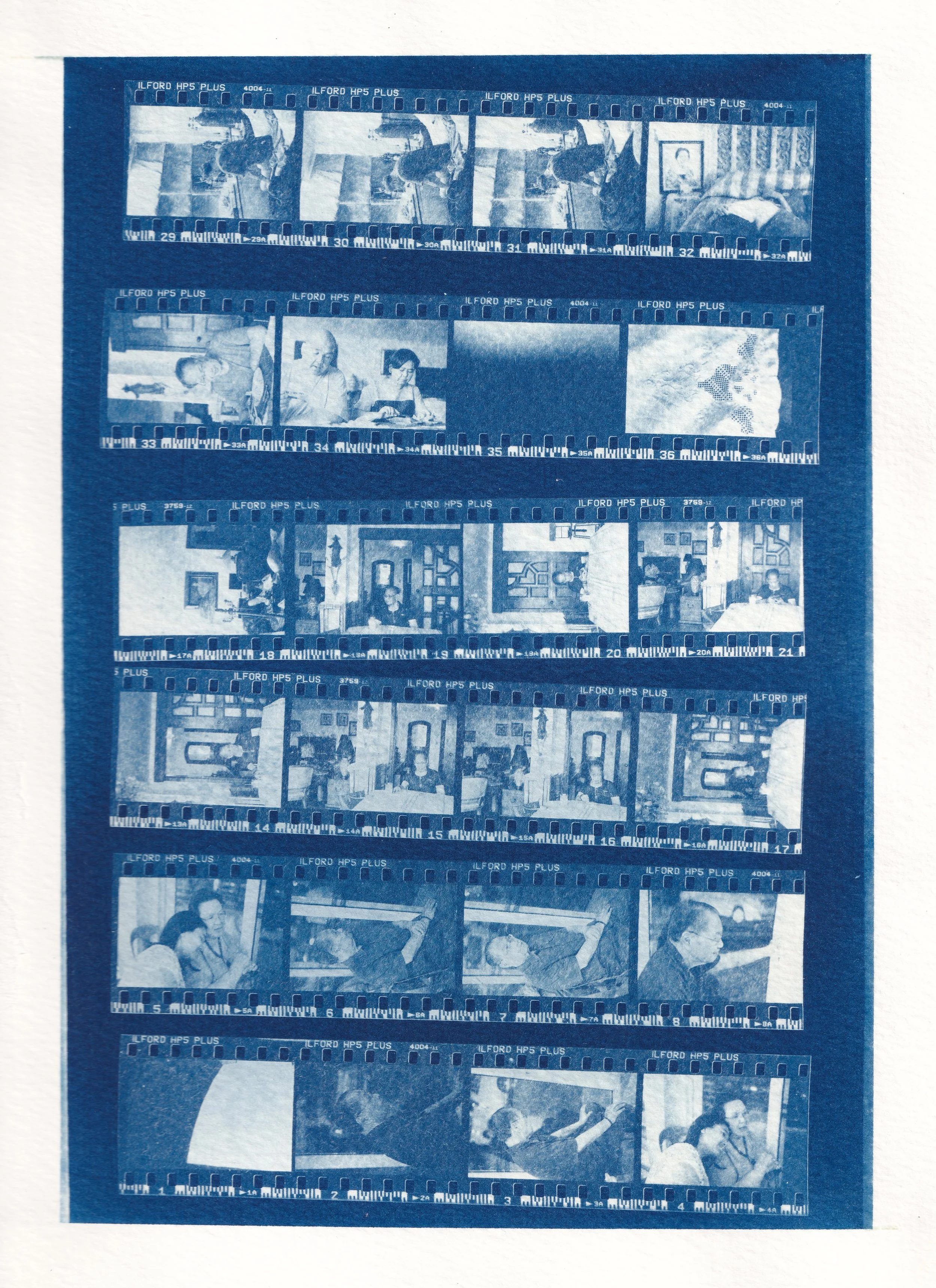 Cyanotype Contact Sheet 01 - Cropped, Edited - Smaller for Squarespace.jpg