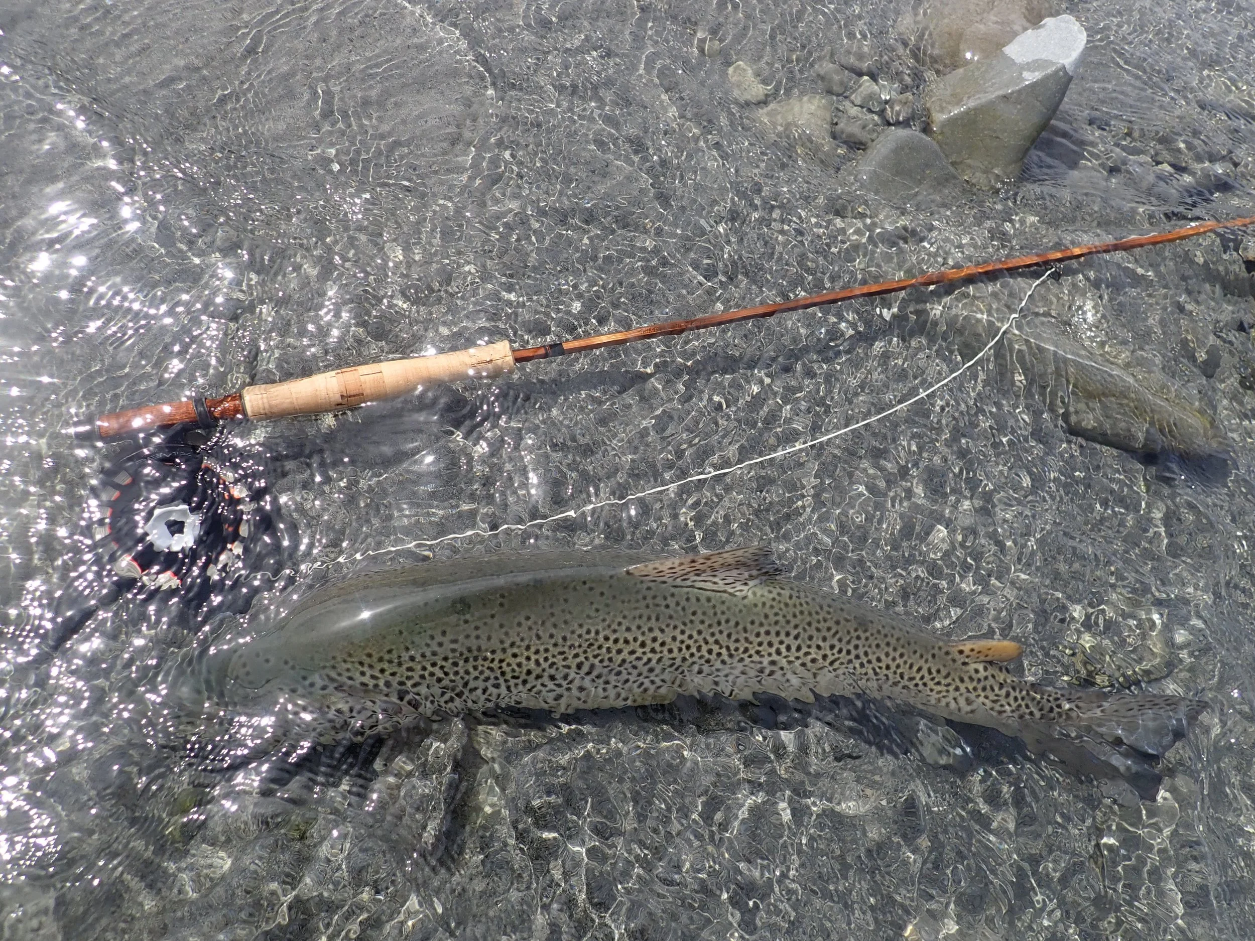 7'4" 6wt 'cup a tea' integrated bamboo ferrule