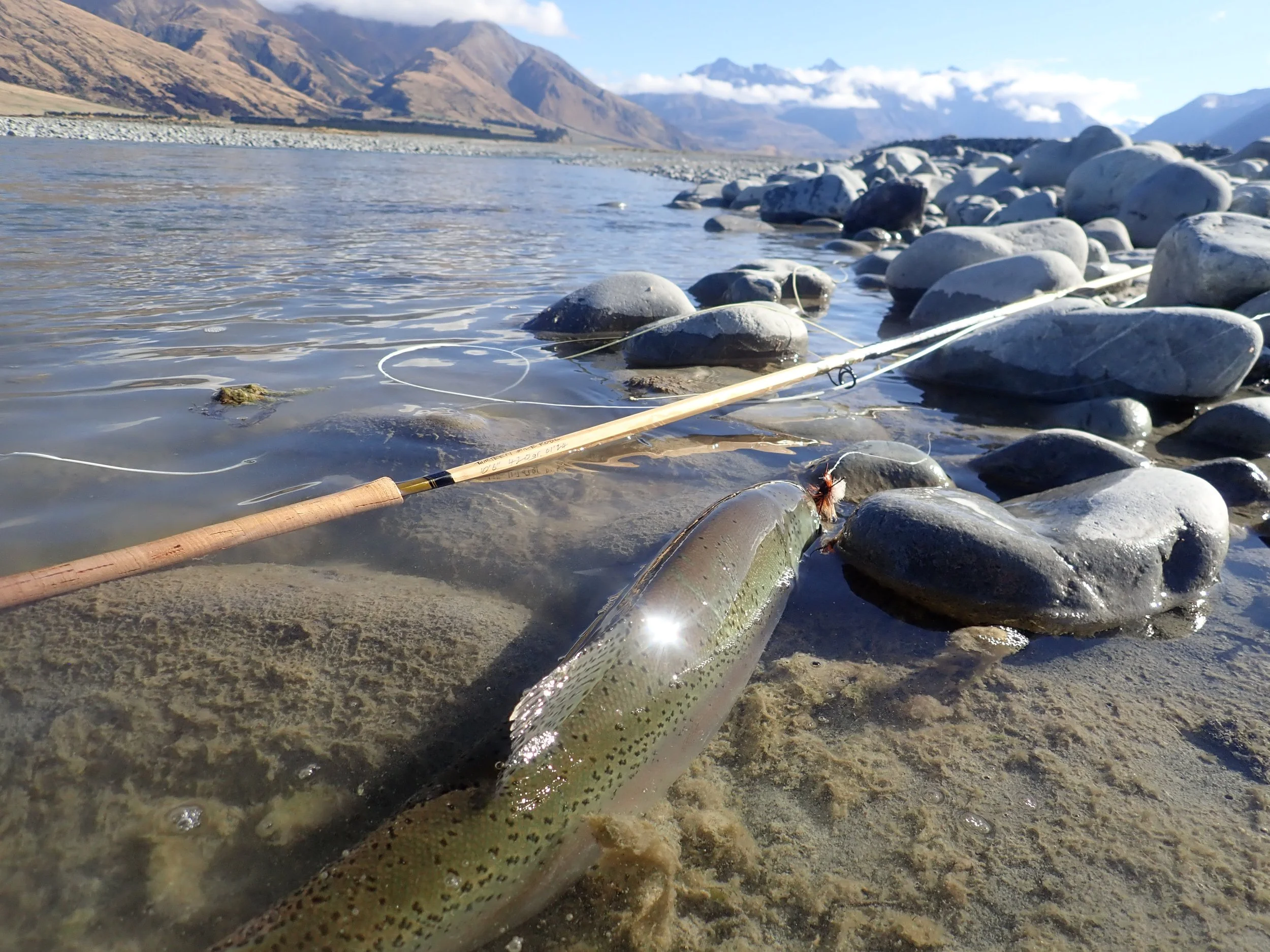 10'6" spey 420gr. skating dry fly's