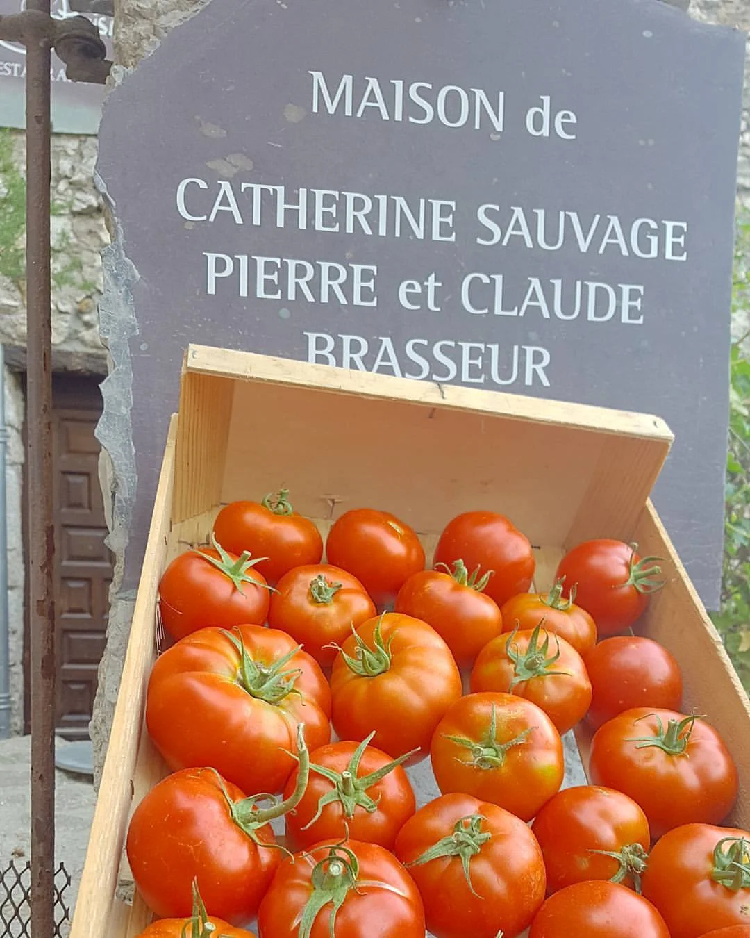 tomate2.jpg
