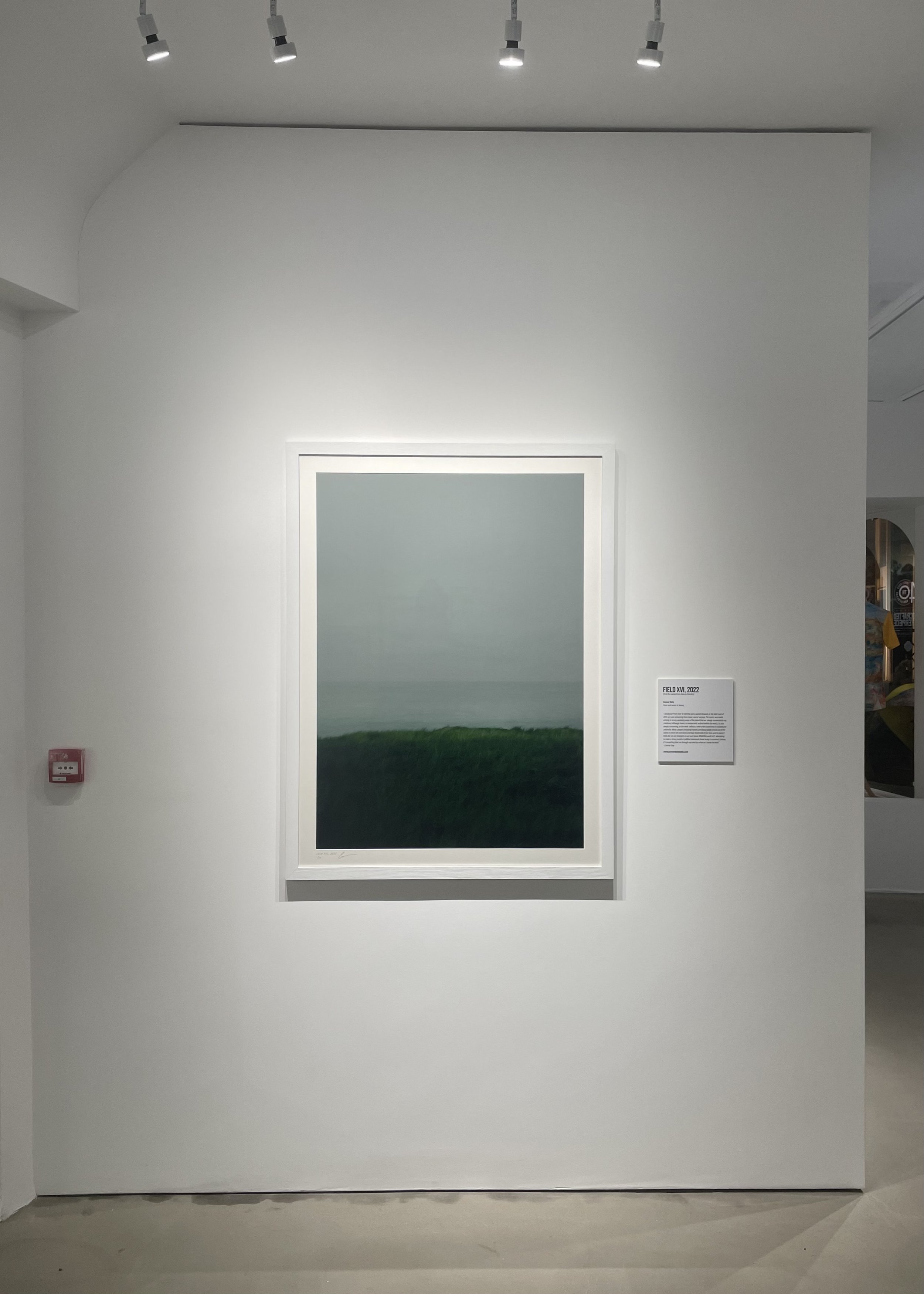  “Field XVI, 2022” AFG Gallery, Mansell Street, Guernsey 