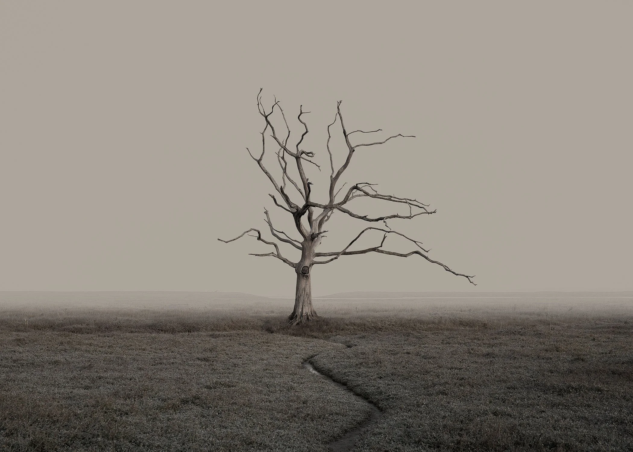  Porlock Marsh IV, Porlock, England, 2025 