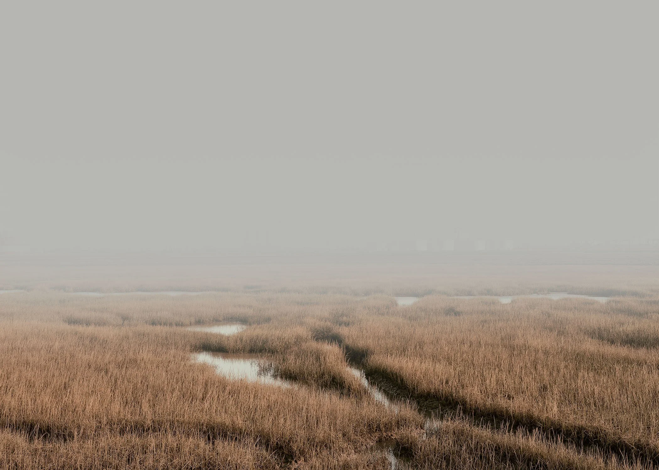  Marsh I, Paglesham, England, 2025 