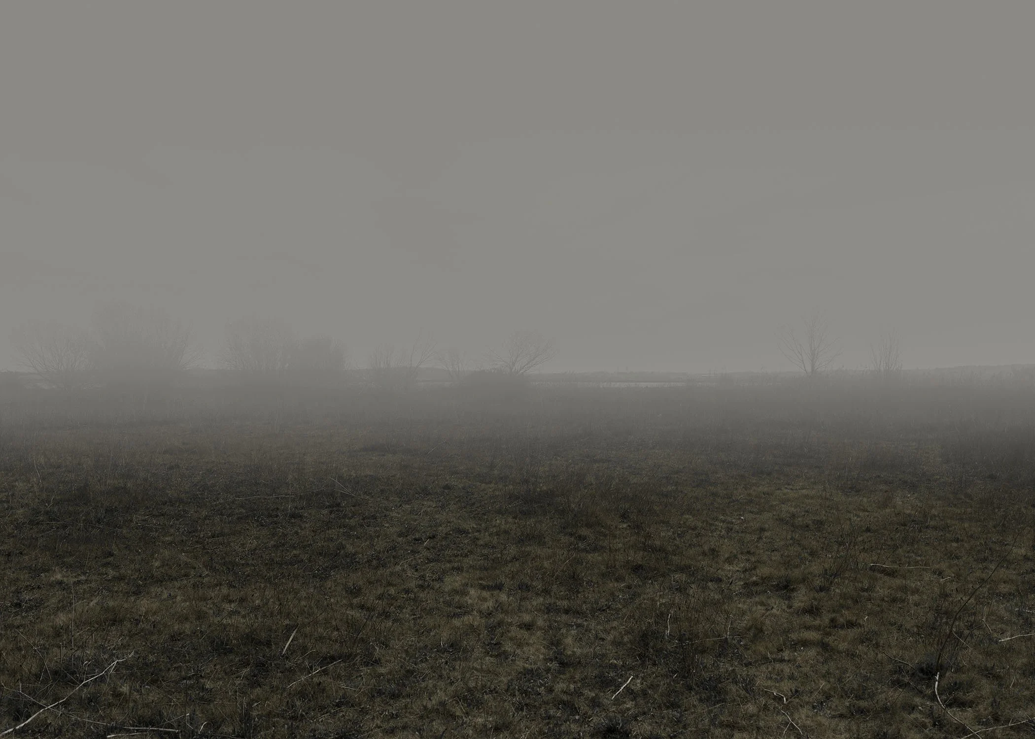  Coalhouse Point, Tillbury, England, 2025 