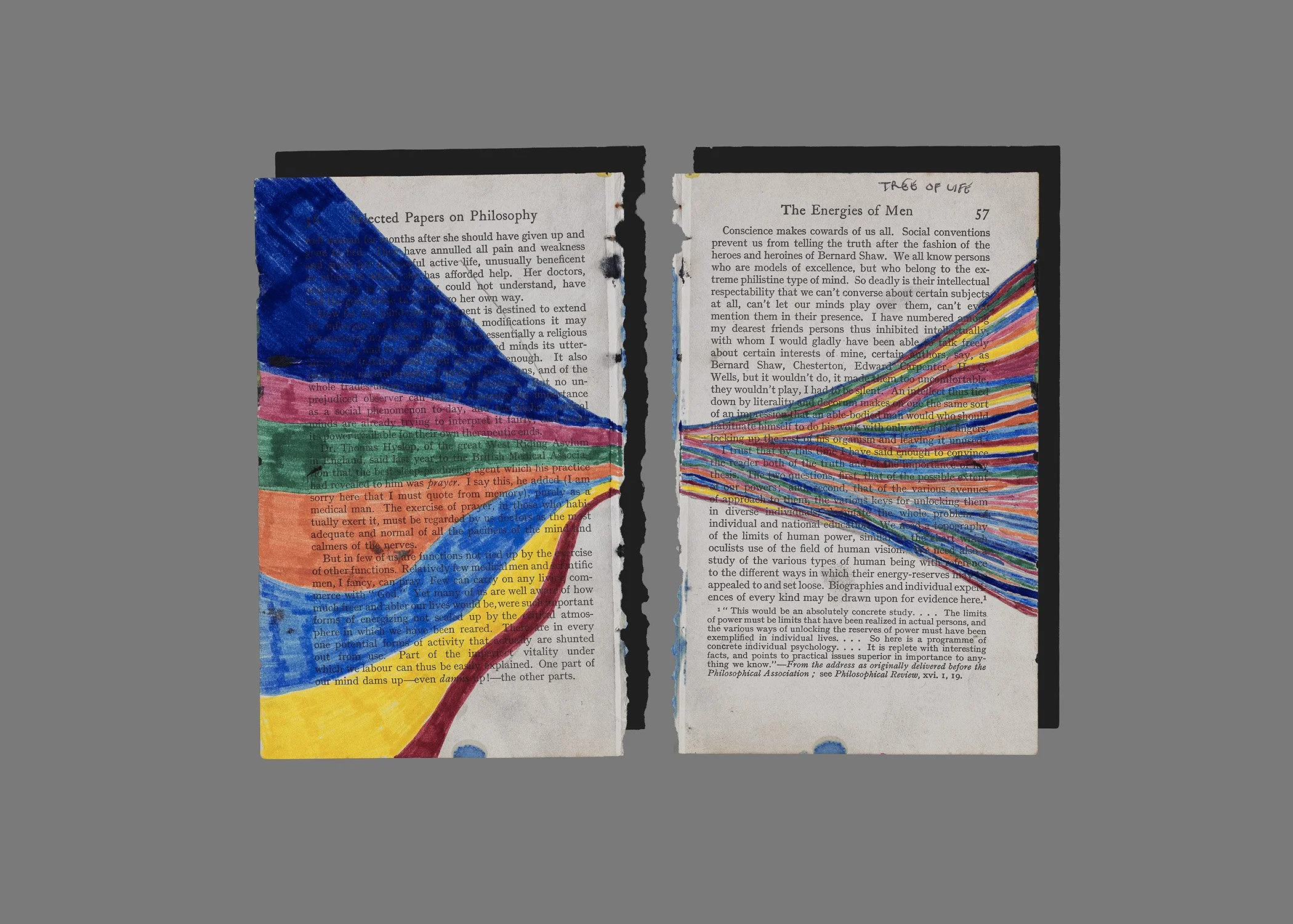  Sketchbook Pages VIII, 2026 