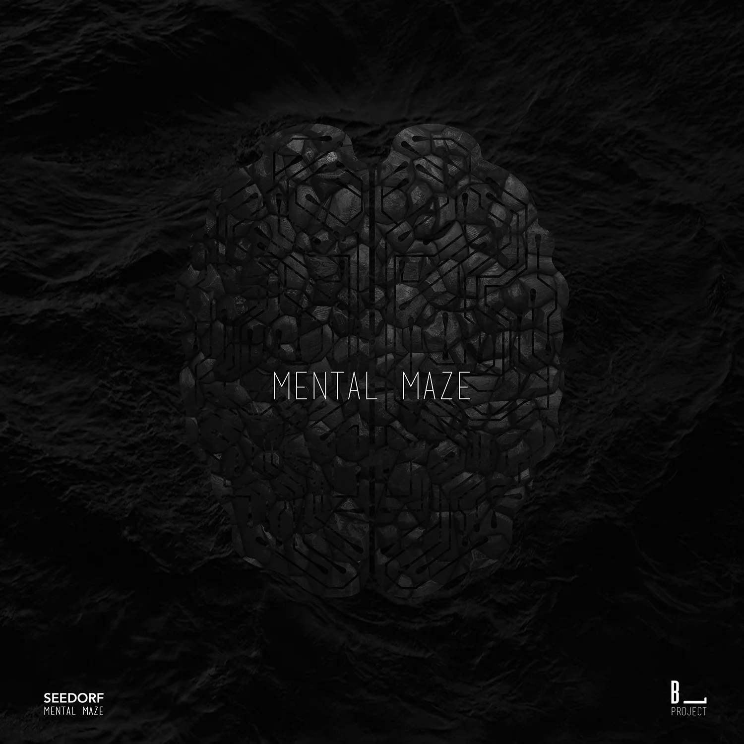 MENTAL MAZE SEEDORF 3000x3000.jpg