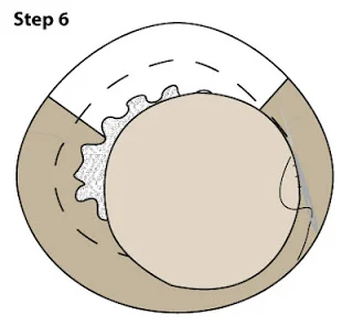Free_Owl_Pattern_step6.jpg
