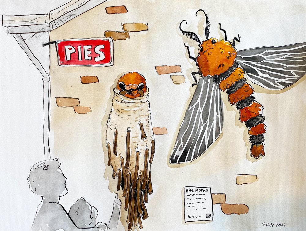 watercolour image of a soft sculpture installation on the side of a building. Scultuptures are a pair of Saunders' case moths on efemail in her bag while the other a mature male moth showing his back and wings.