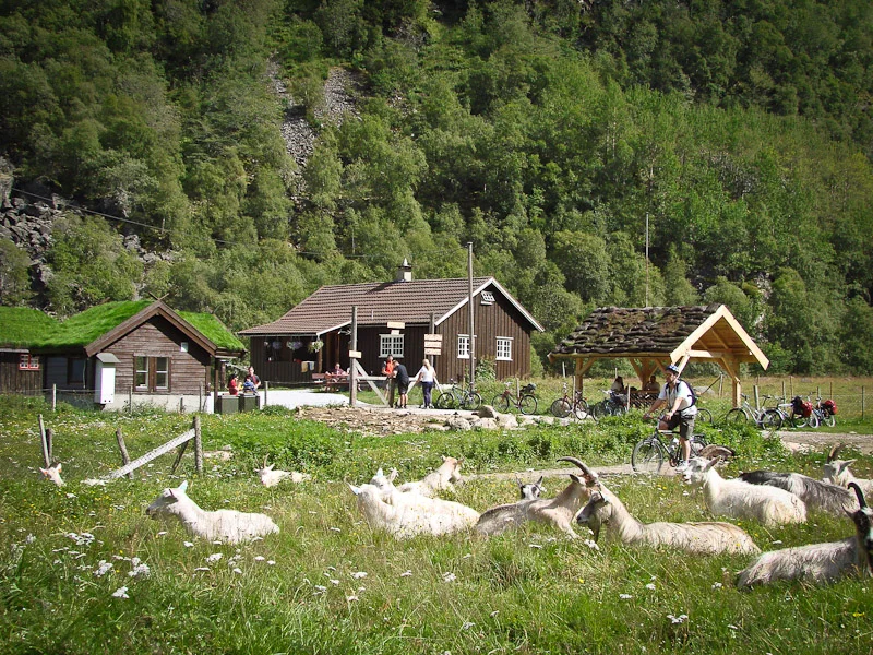 rallarrosa-2_0.jpg