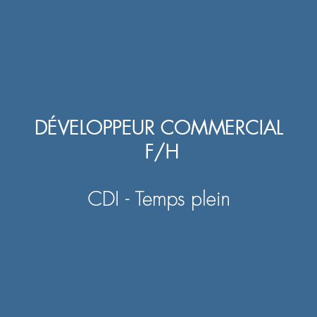 Offre d'emploi - Développeur commercial - CDI Majorelle.jpg