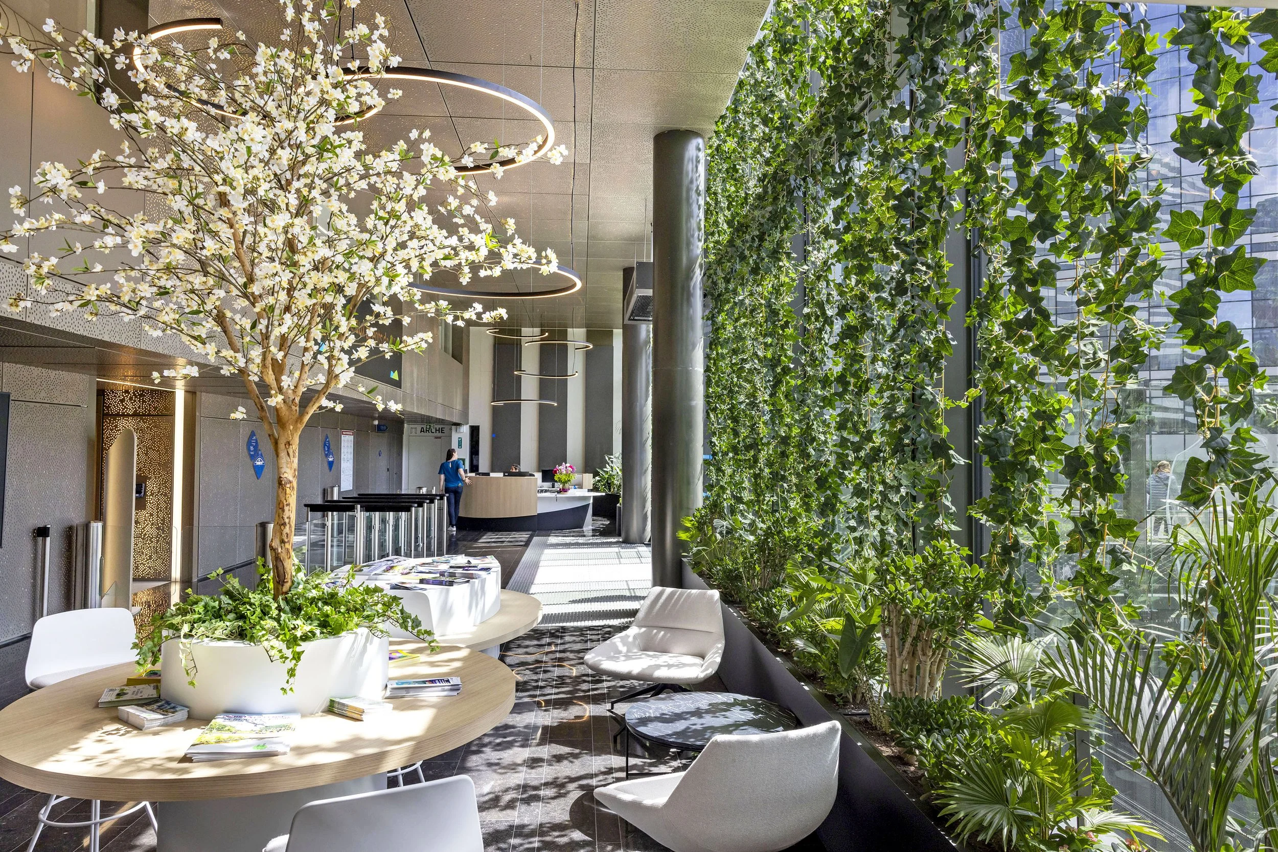 Majorelle CD92-JR-5675b-bd.jpg