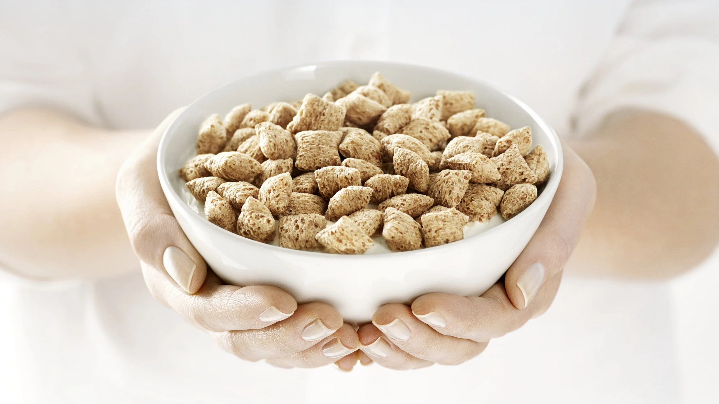 Quaker_web5.jpg
