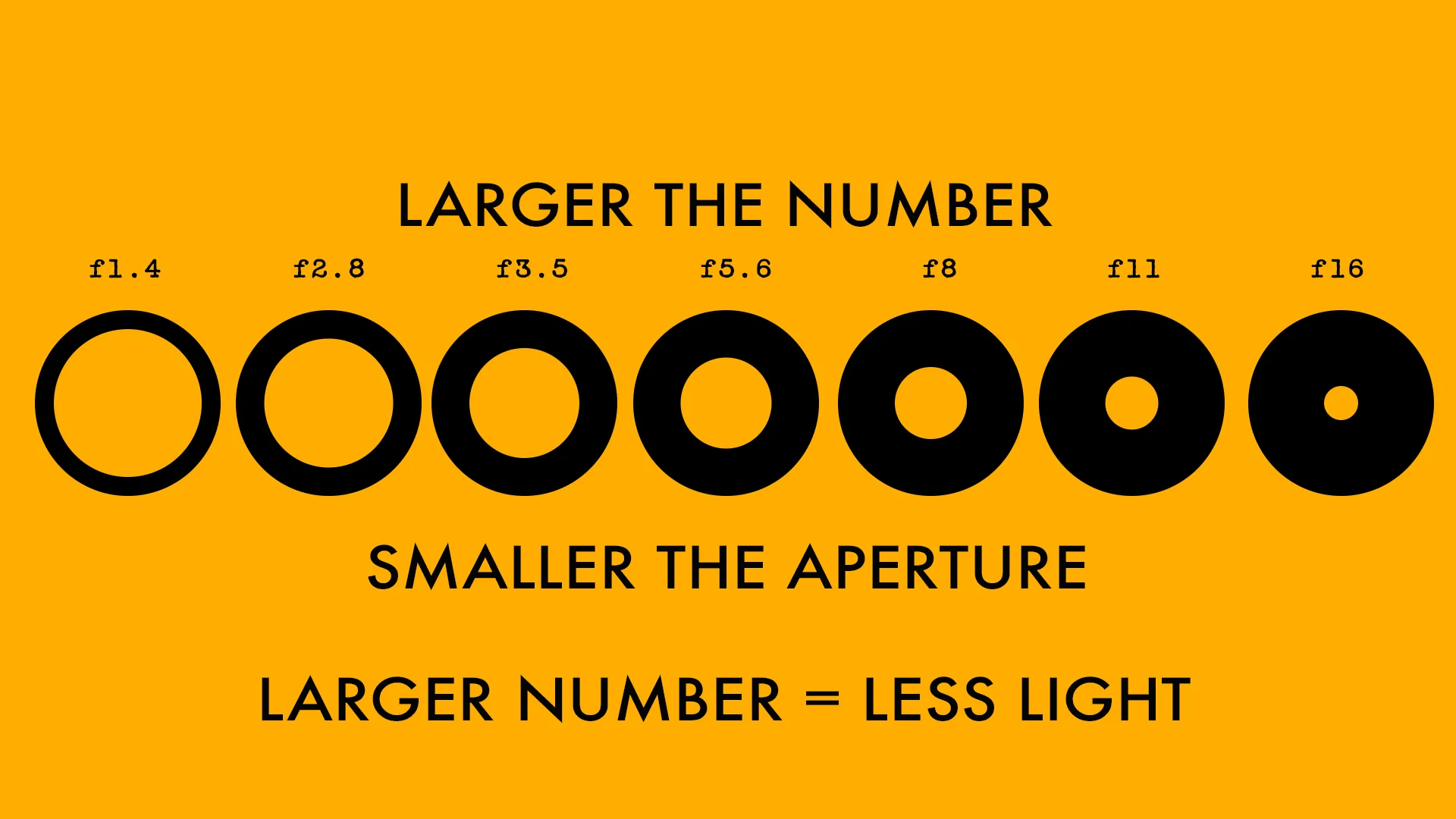 Understanding aperture in photography