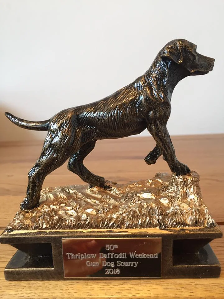 Gundog scurry, Sunday 18th of March