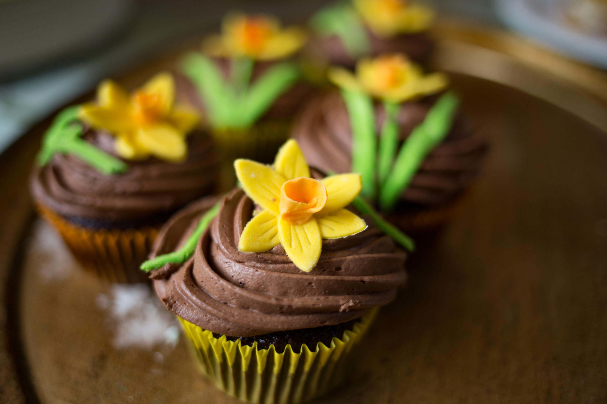 Homemade cupcakes delighting our visitors