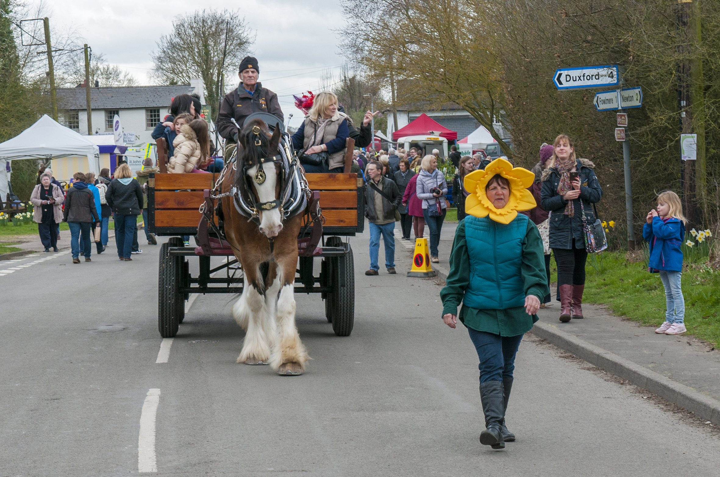 Dray rides-1 20cm.jpg