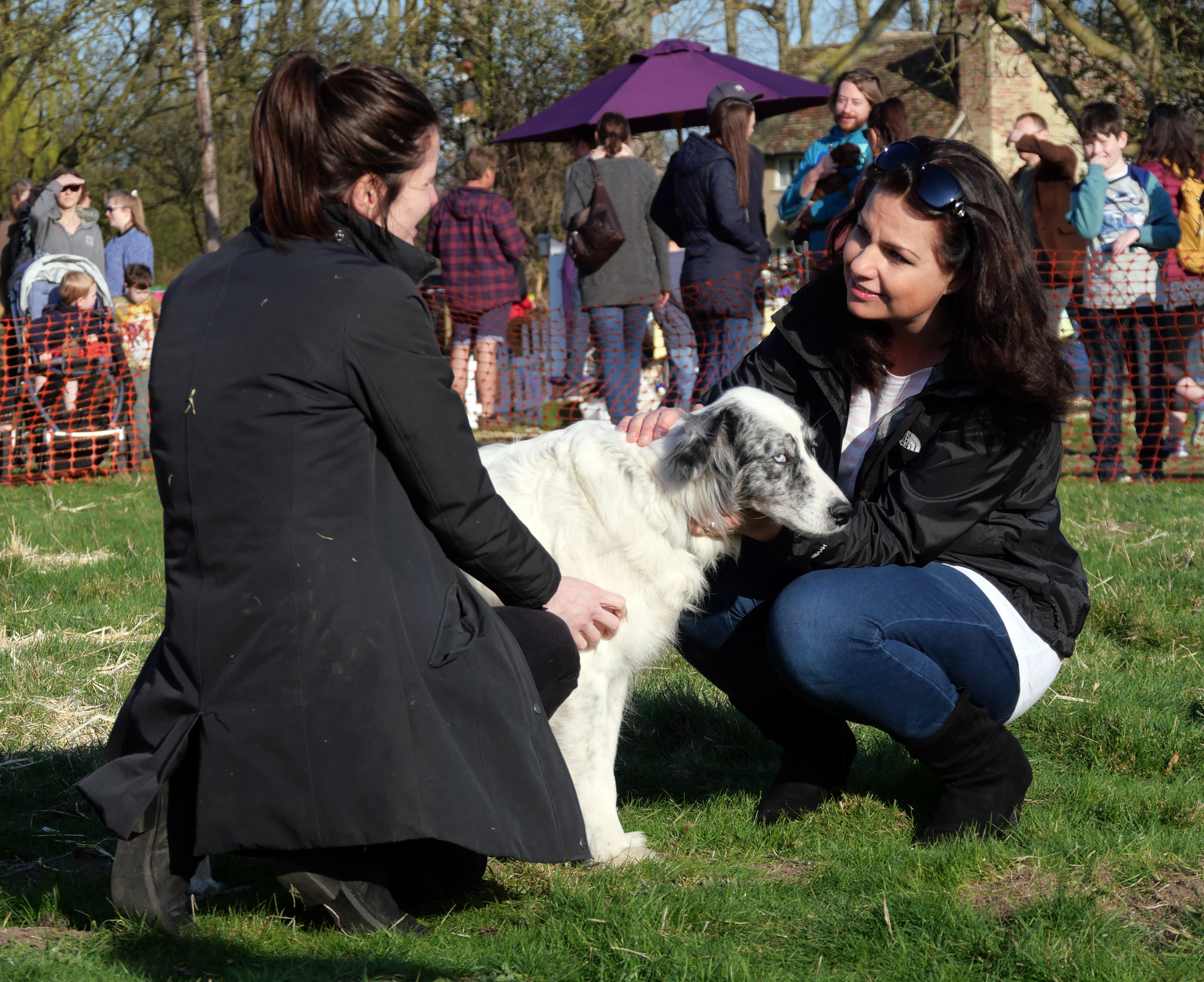 heidi allen 10.jpg