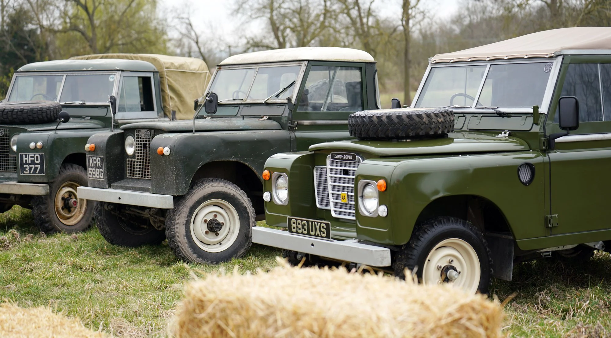 16 DSC09029 lo res.jpg