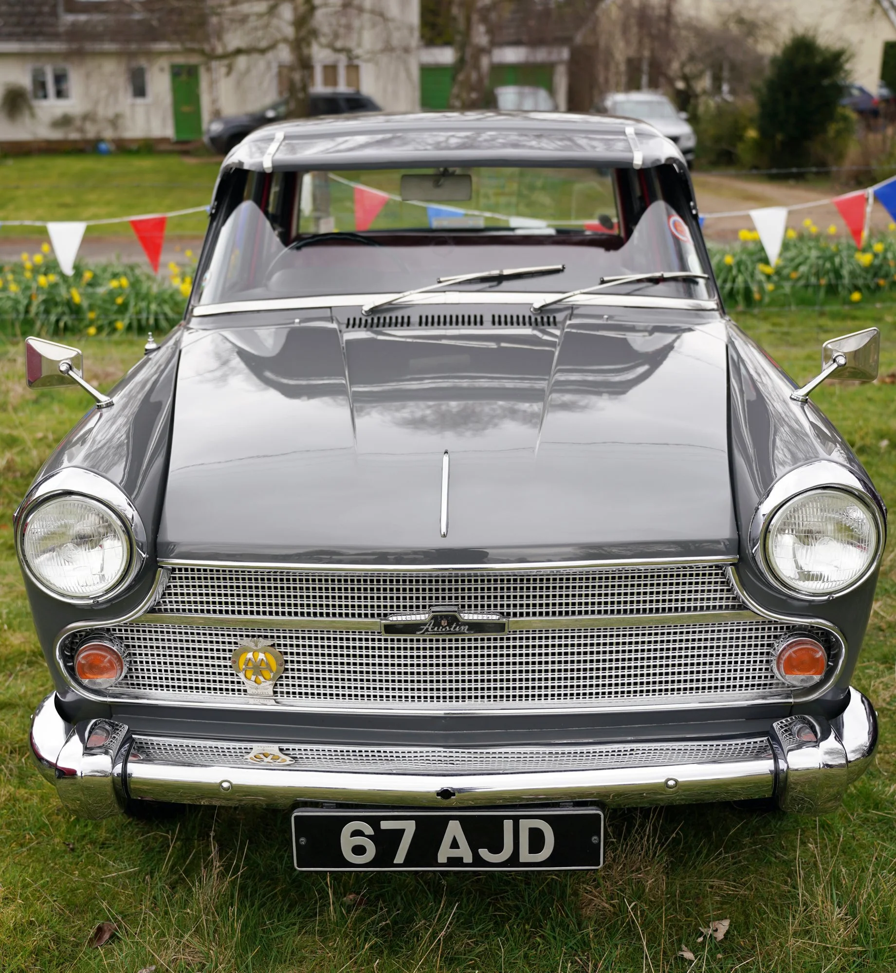 82 RED01994 lo res.jpg